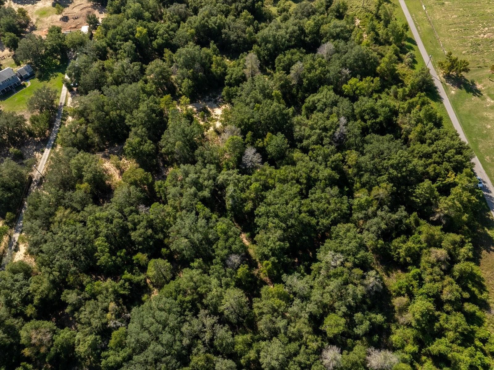 Land at 17701 SEIDNER RD, WINTER GARDEN, photo 34 of 39