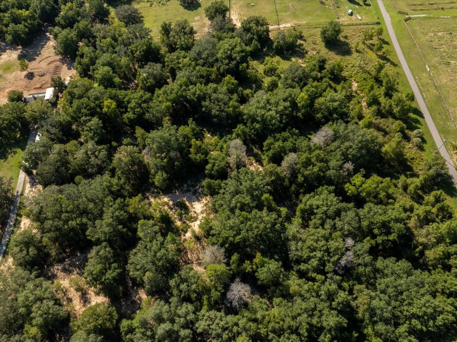 Land at 17701 SEIDNER RD, WINTER GARDEN, photo 35 of 39