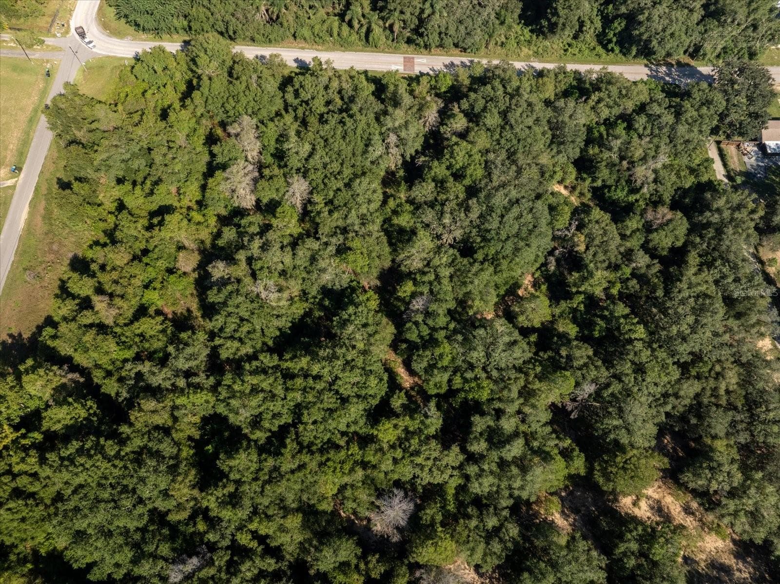 Land at 17701 SEIDNER RD, WINTER GARDEN, photo 39 of 39