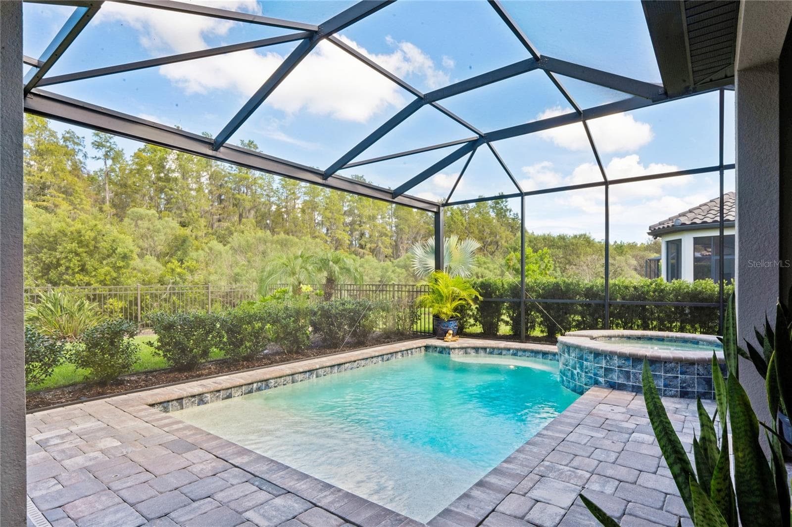 View of backyard from Pool lanai - 10813 CALLUNA DR, ODESSA