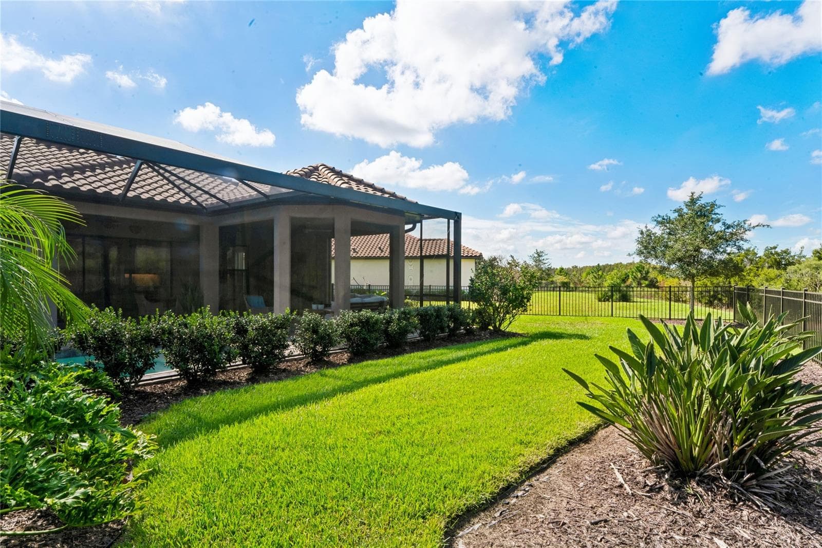 Fenced-in backyard with tropical landscape - 10813 CALLUNA DR, ODESSA