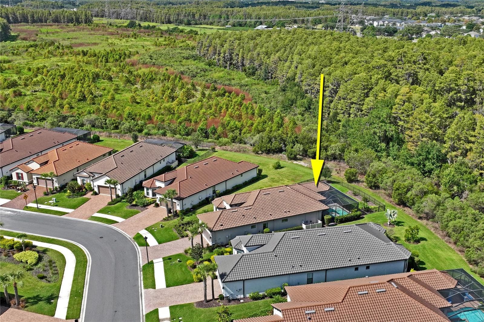 Single Family Residence at 10813 CALLUNA DR, ODESSA, photo 53 of 80