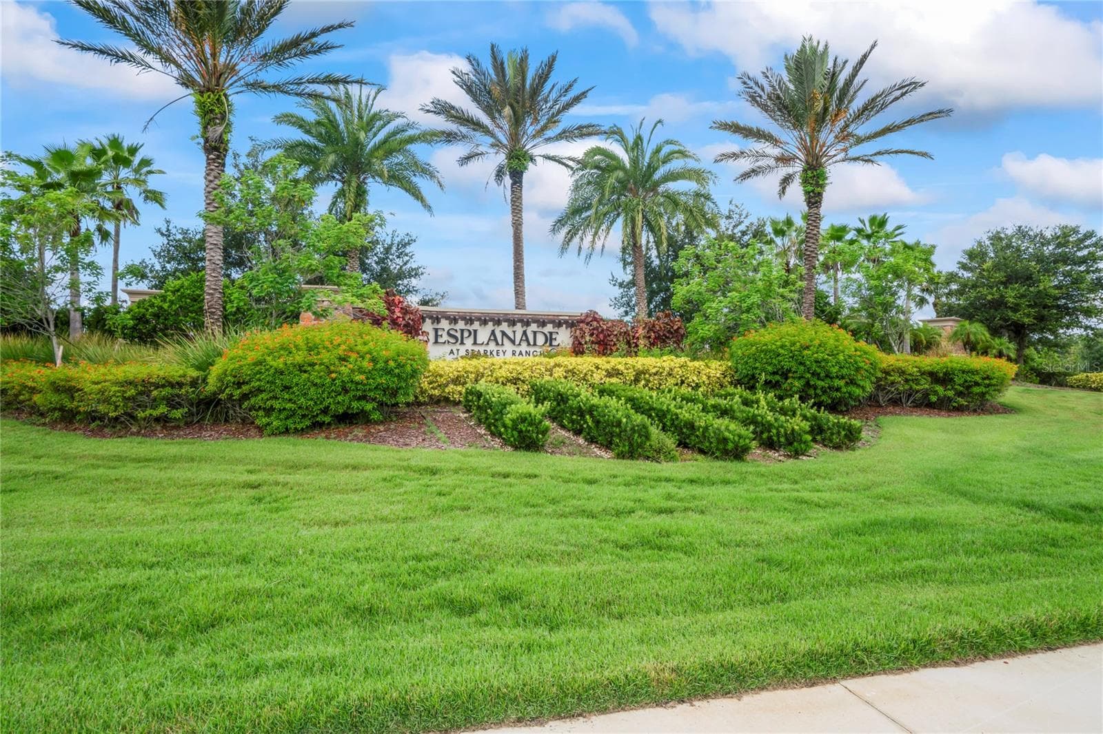 Esplanade beautiful entrance landscape - 10813 CALLUNA DR, ODESSA