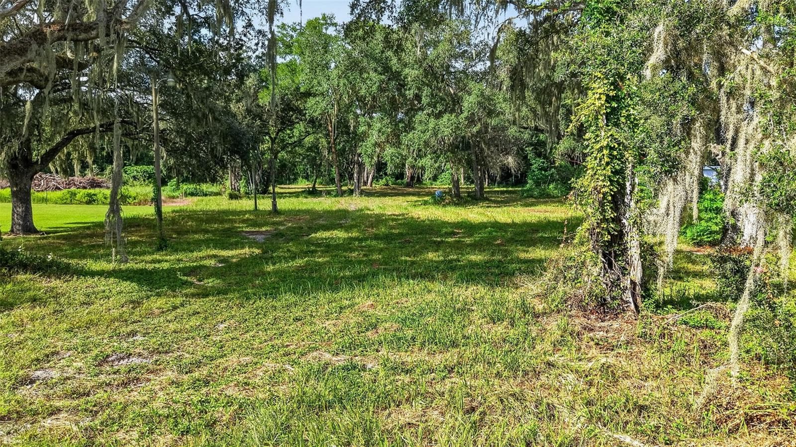 Land at 30 C CR-48, BUSHNELL, photo 13 of 13
