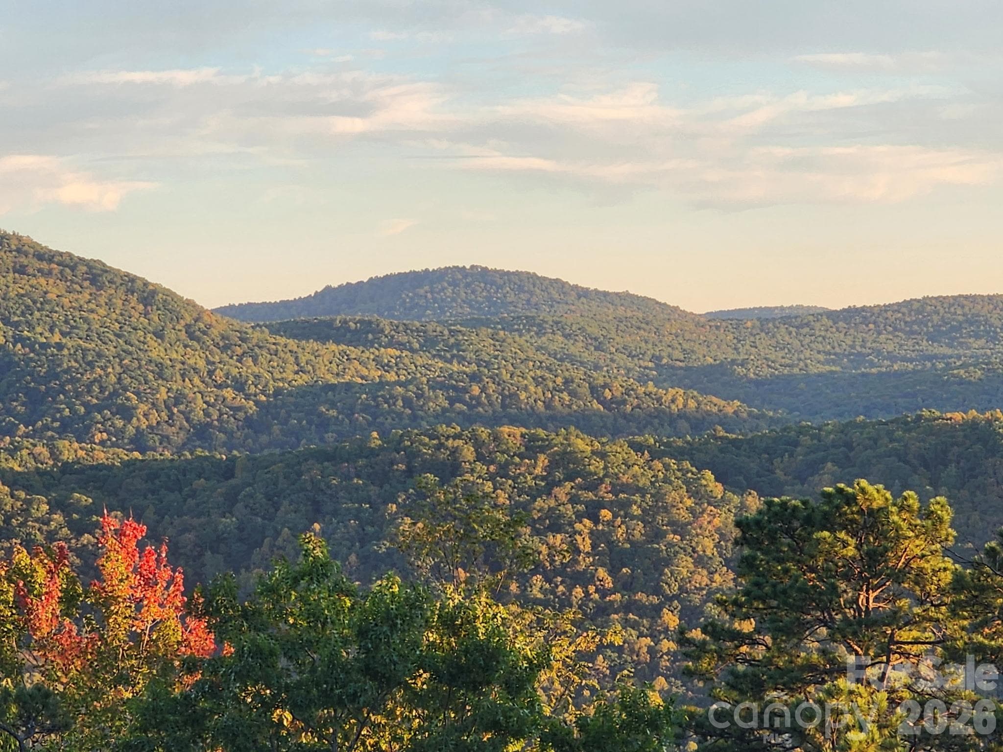 Views from first floor level. - 000 Bulling Creek Road, Penrose