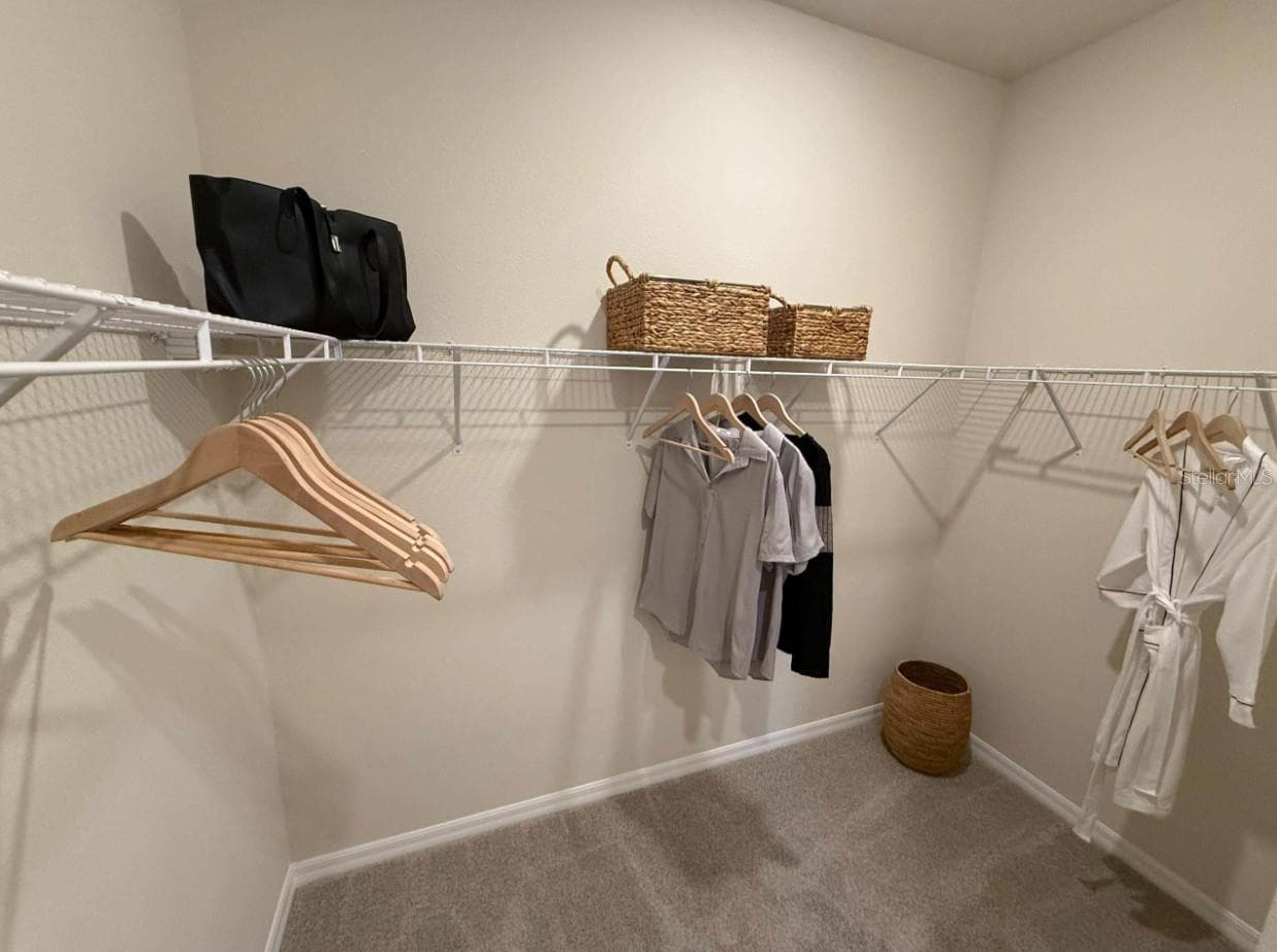 Owner's Closet - 3712 JONS LAKEVIEW ST, PLANT CITY