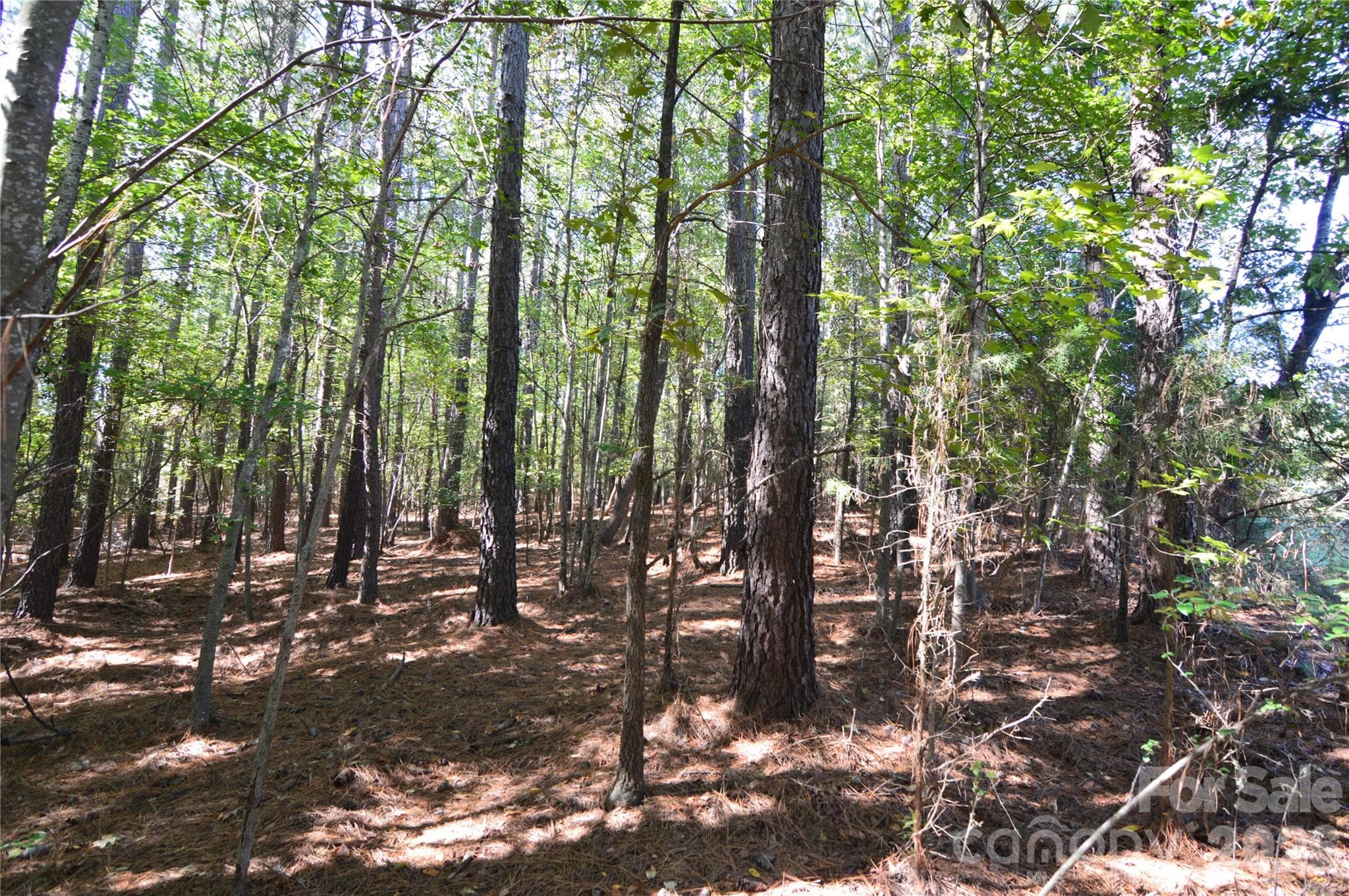 Lot at 4001 Deer Park Lane, Belmont, photo 6 of 48