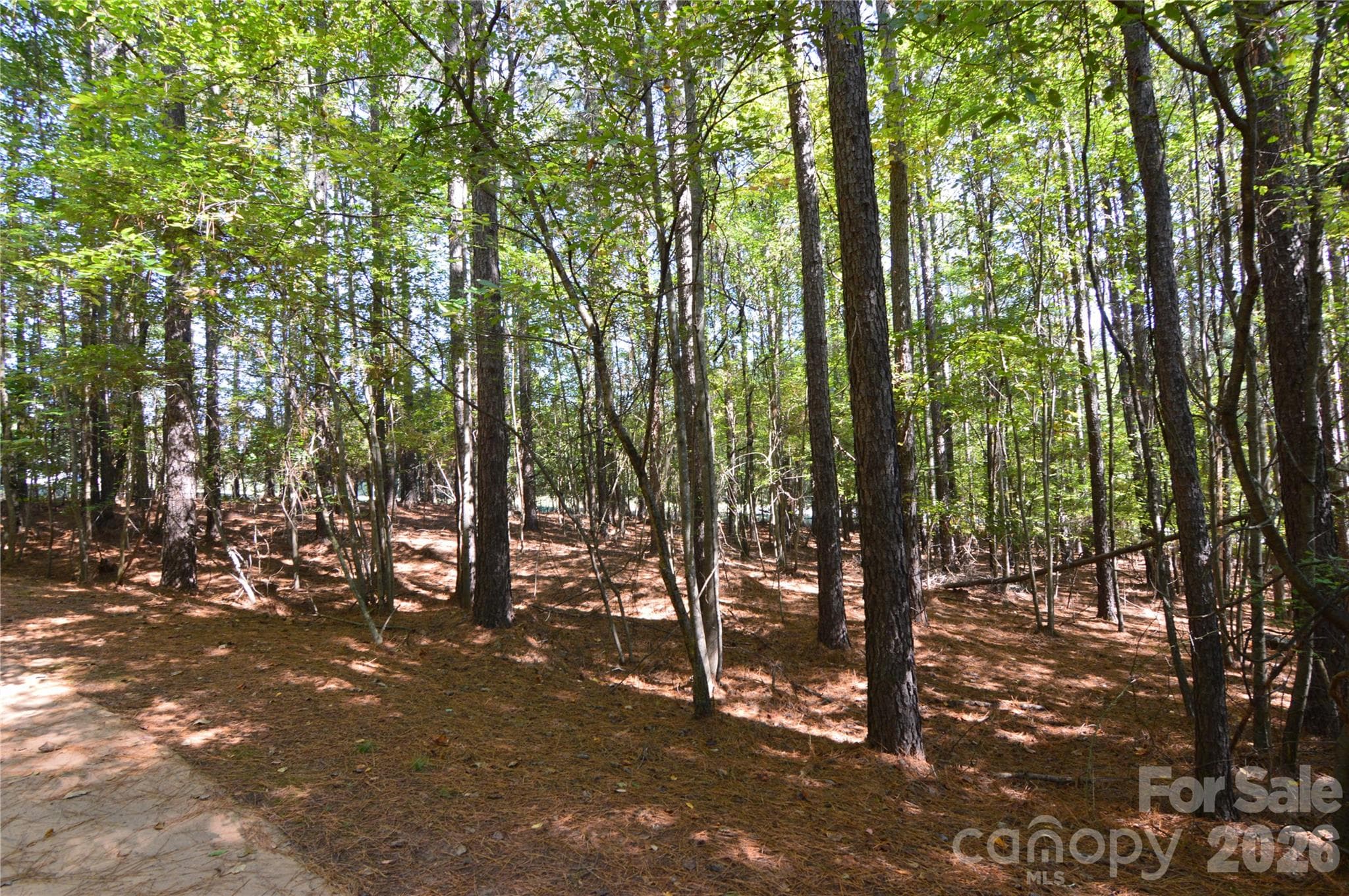 Lot at 4001 Deer Park Lane, Belmont, photo 10 of 48