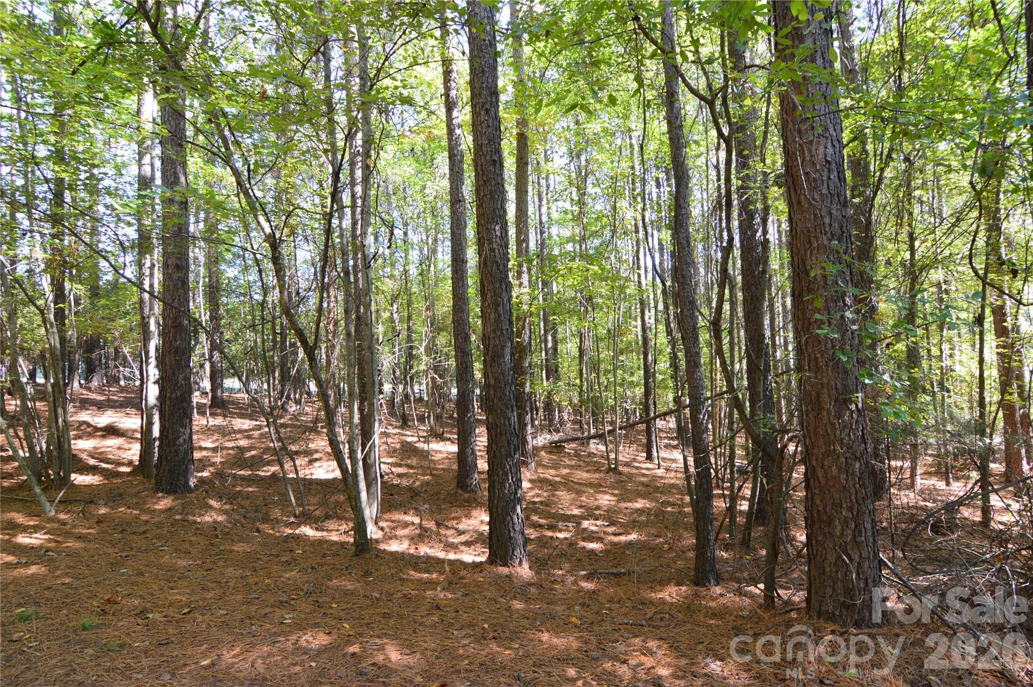 Lot at 4001 Deer Park Lane, Belmont, photo 11 of 48