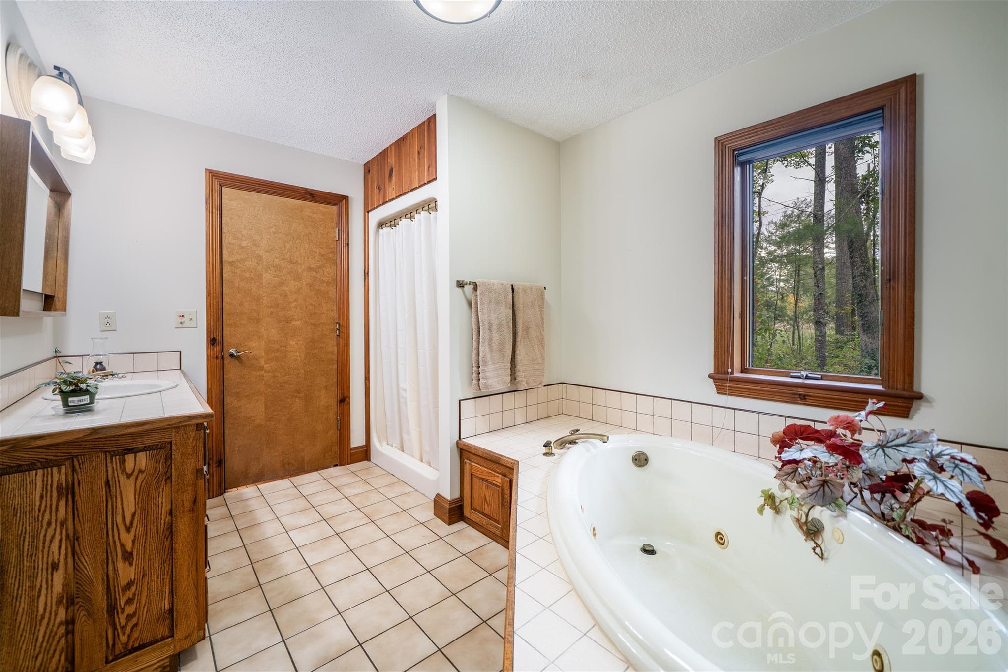 Single Family Residence at 2 Dogwood Lane, Fletcher, photo 25 of 36
