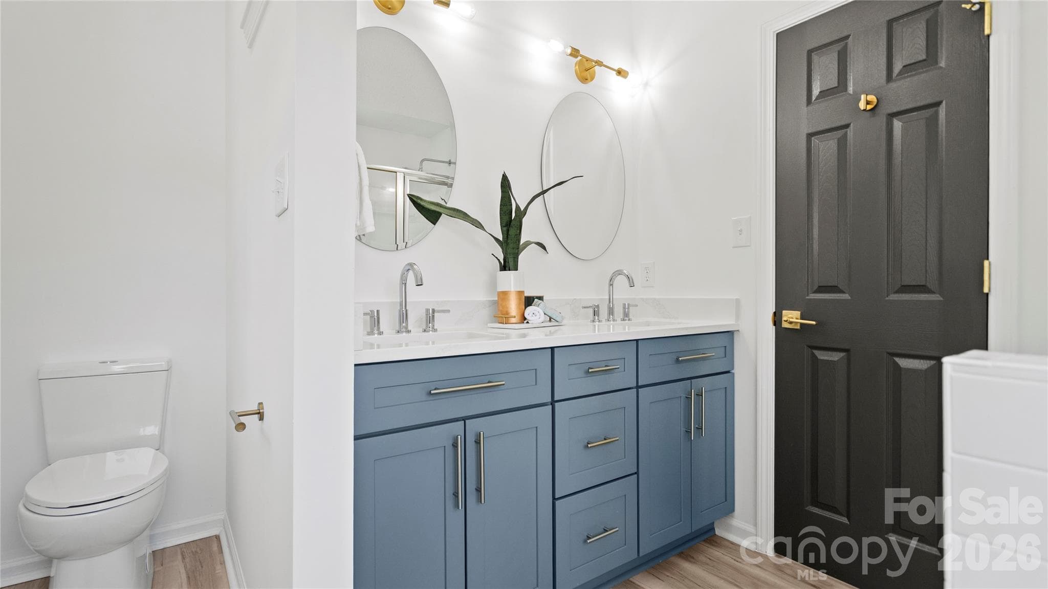 New Commode, Fixtures, Mirrors, and Lights - 13918 Wild Heather Court, Charlotte