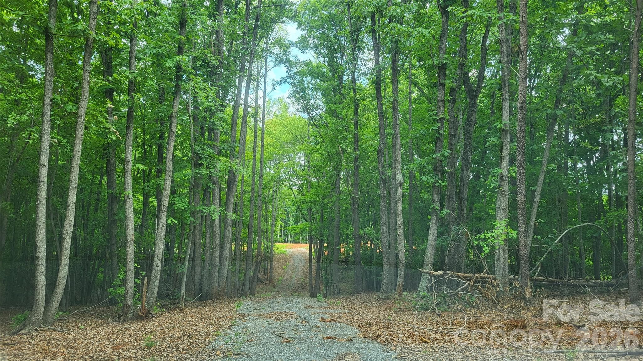 Acreage at 1056 Stephens Trail Road, Sandy Ridge, photo 9 of 36