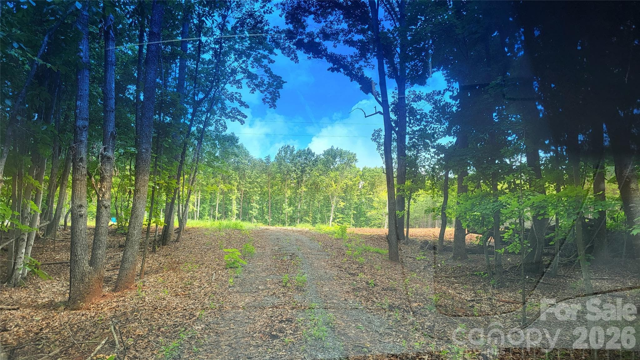 Acreage at 1056 Stephens Trail Road, Sandy Ridge, photo 11 of 36