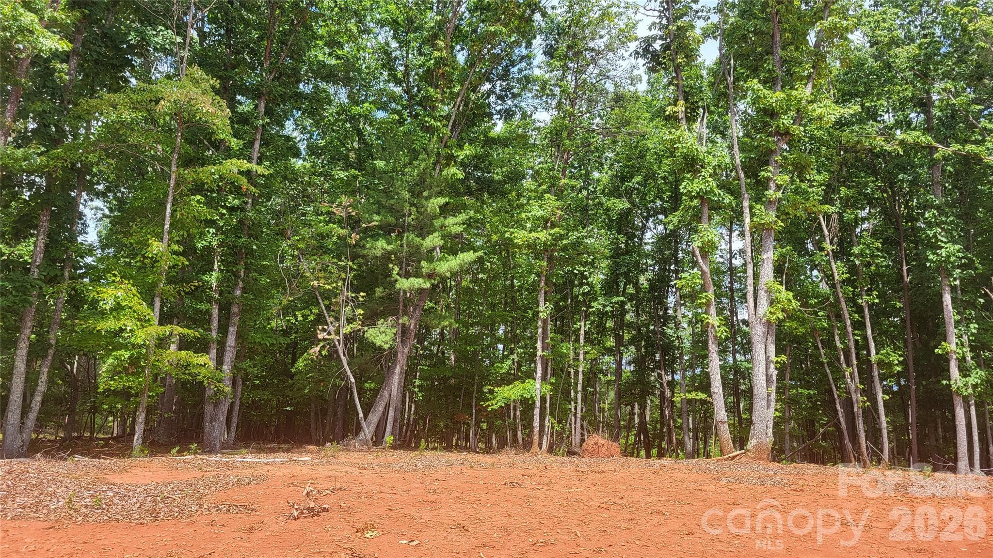 Acreage at 1056 Stephens Trail Road, Sandy Ridge, photo 19 of 36