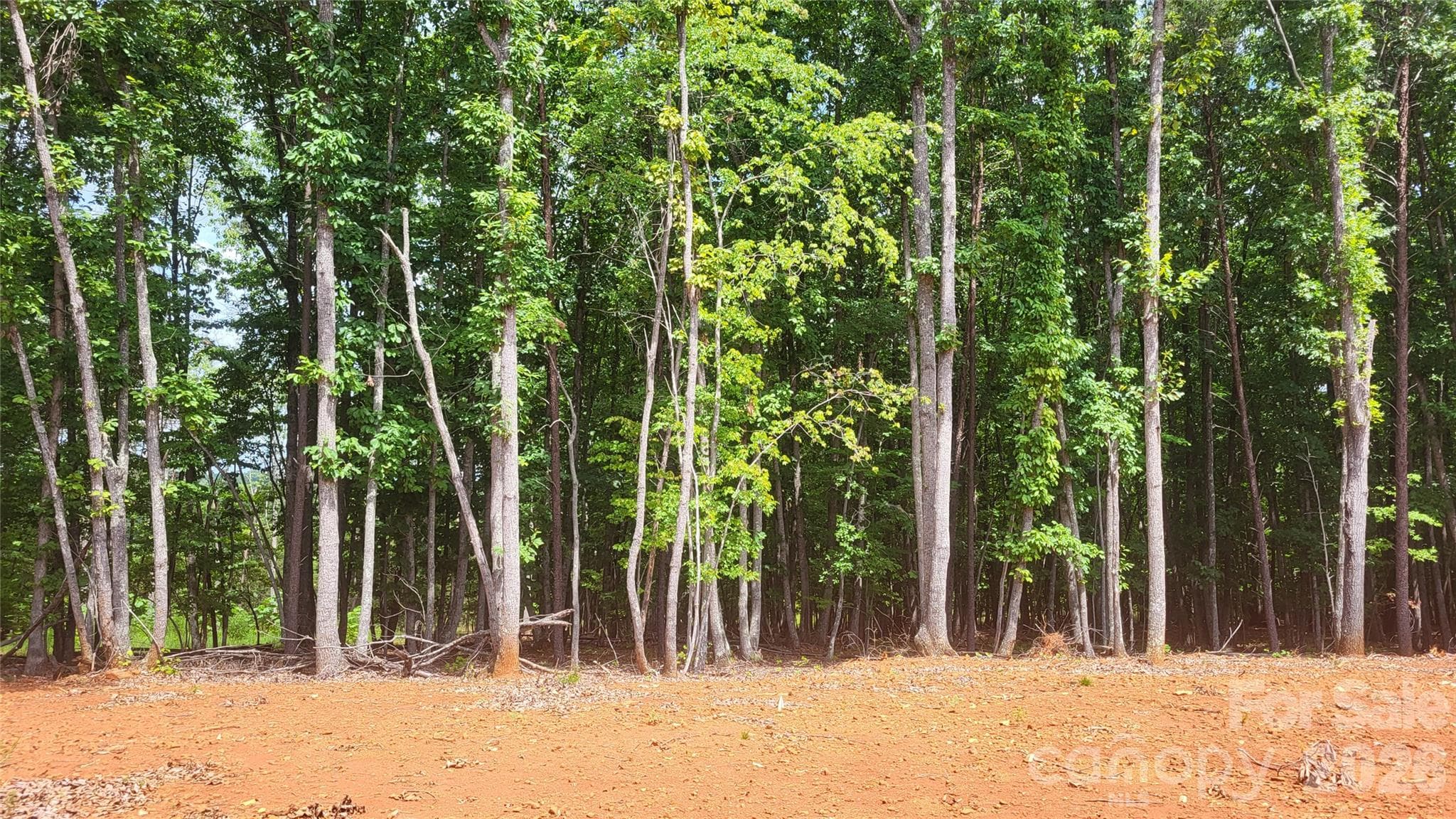 Acreage at 1056 Stephens Trail Road, Sandy Ridge, photo 21 of 36