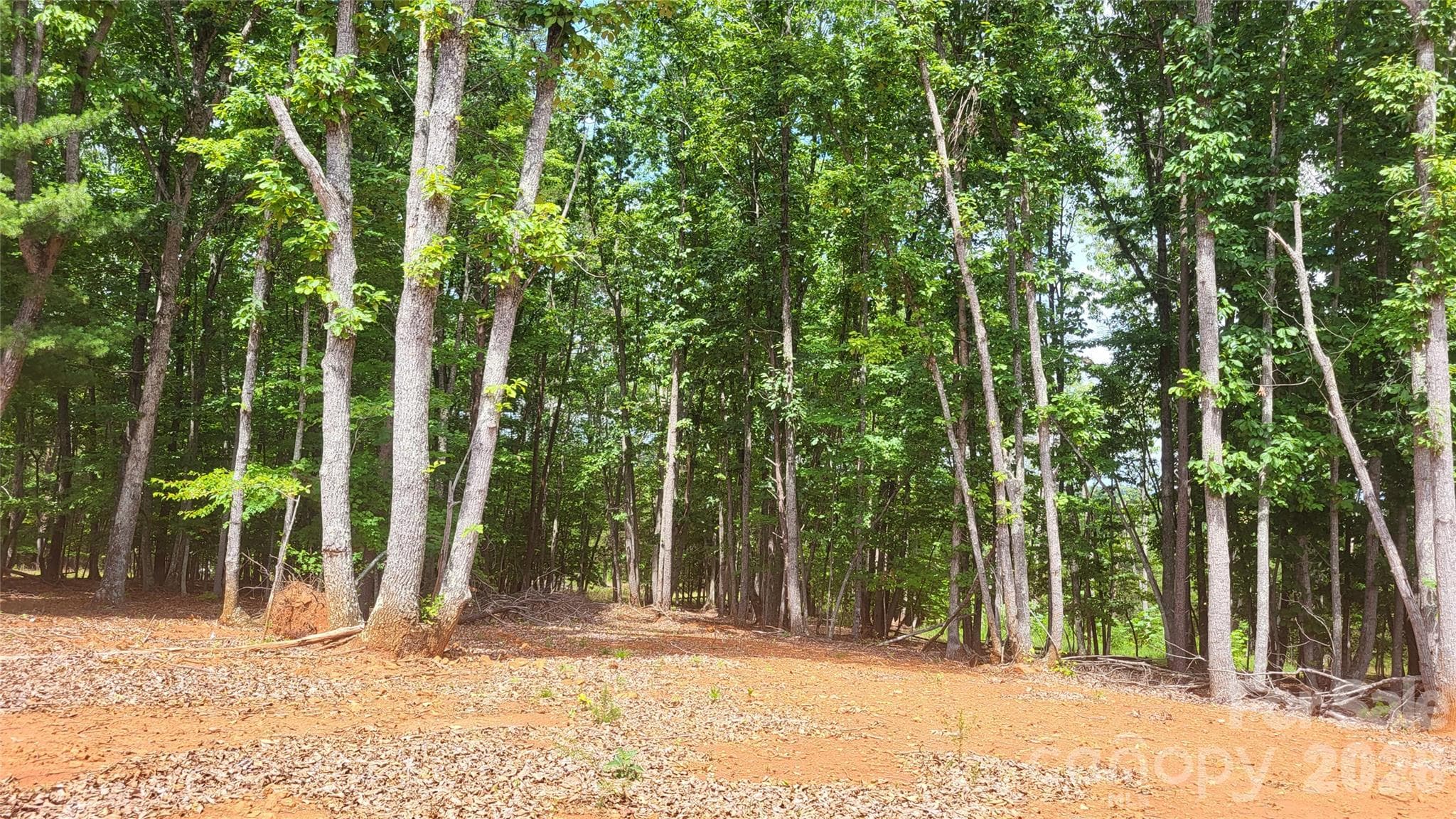 Acreage at 1056 Stephens Trail Road, Sandy Ridge, photo 23 of 36