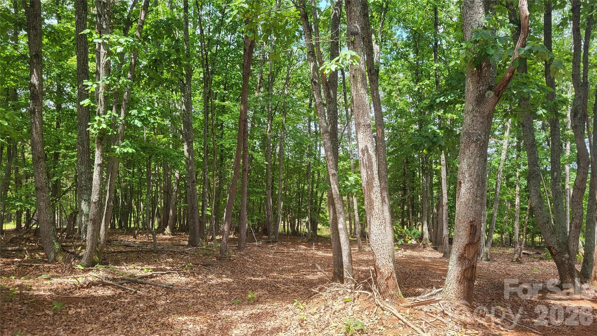 Acreage at 1056 Stephens Trail Road, Sandy Ridge, photo 24 of 36