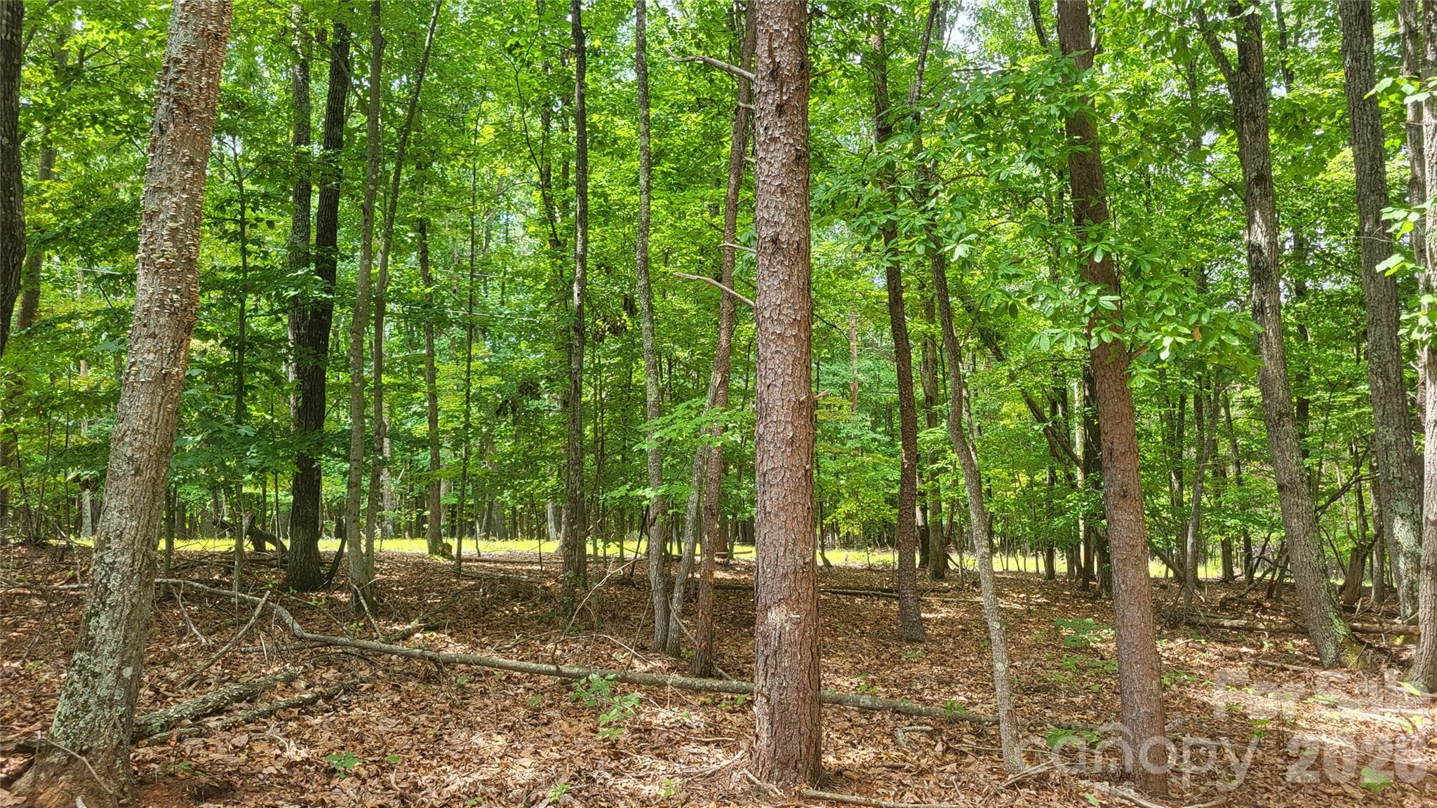 Acreage at 1056 Stephens Trail Road, Sandy Ridge, photo 25 of 36