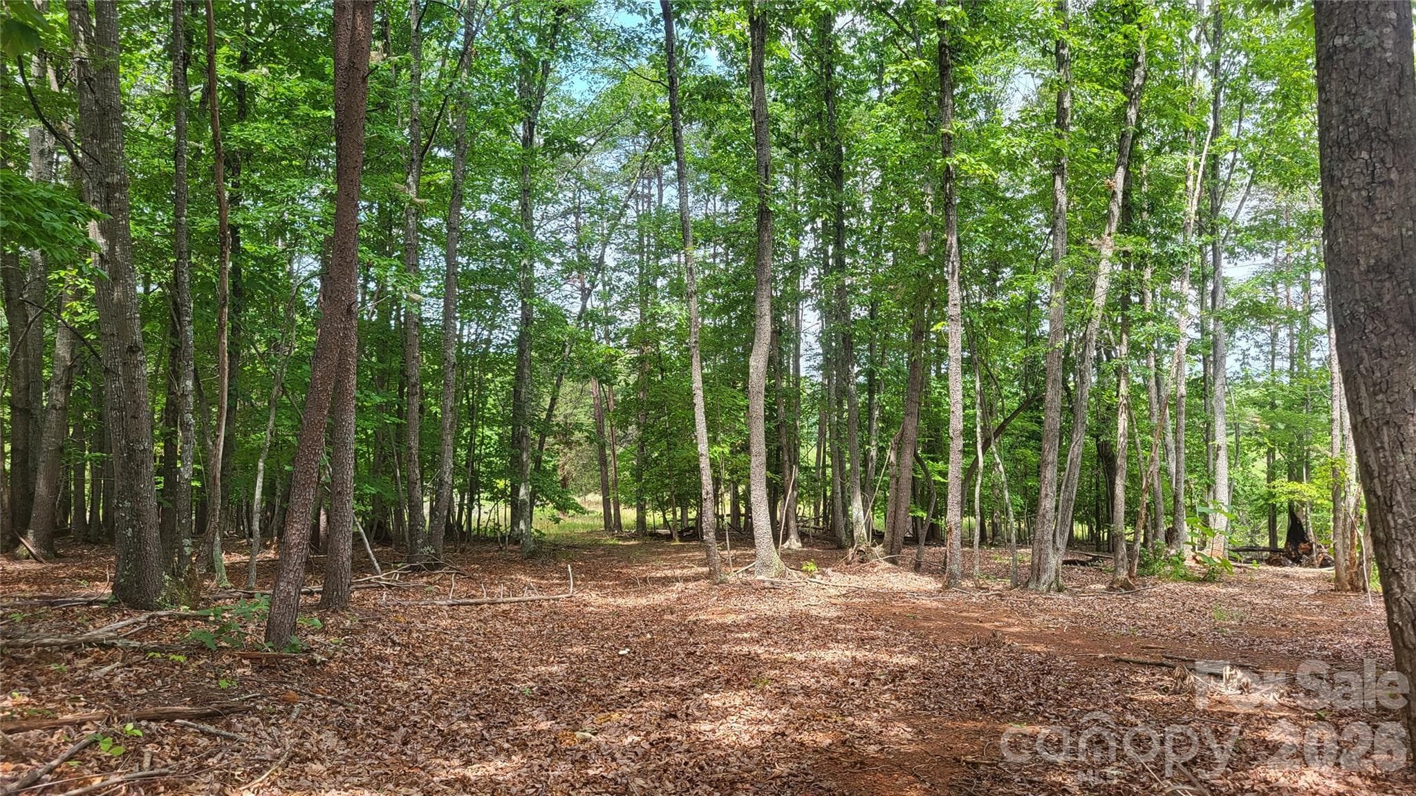 Acreage at 1056 Stephens Trail Road, Sandy Ridge, photo 26 of 36
