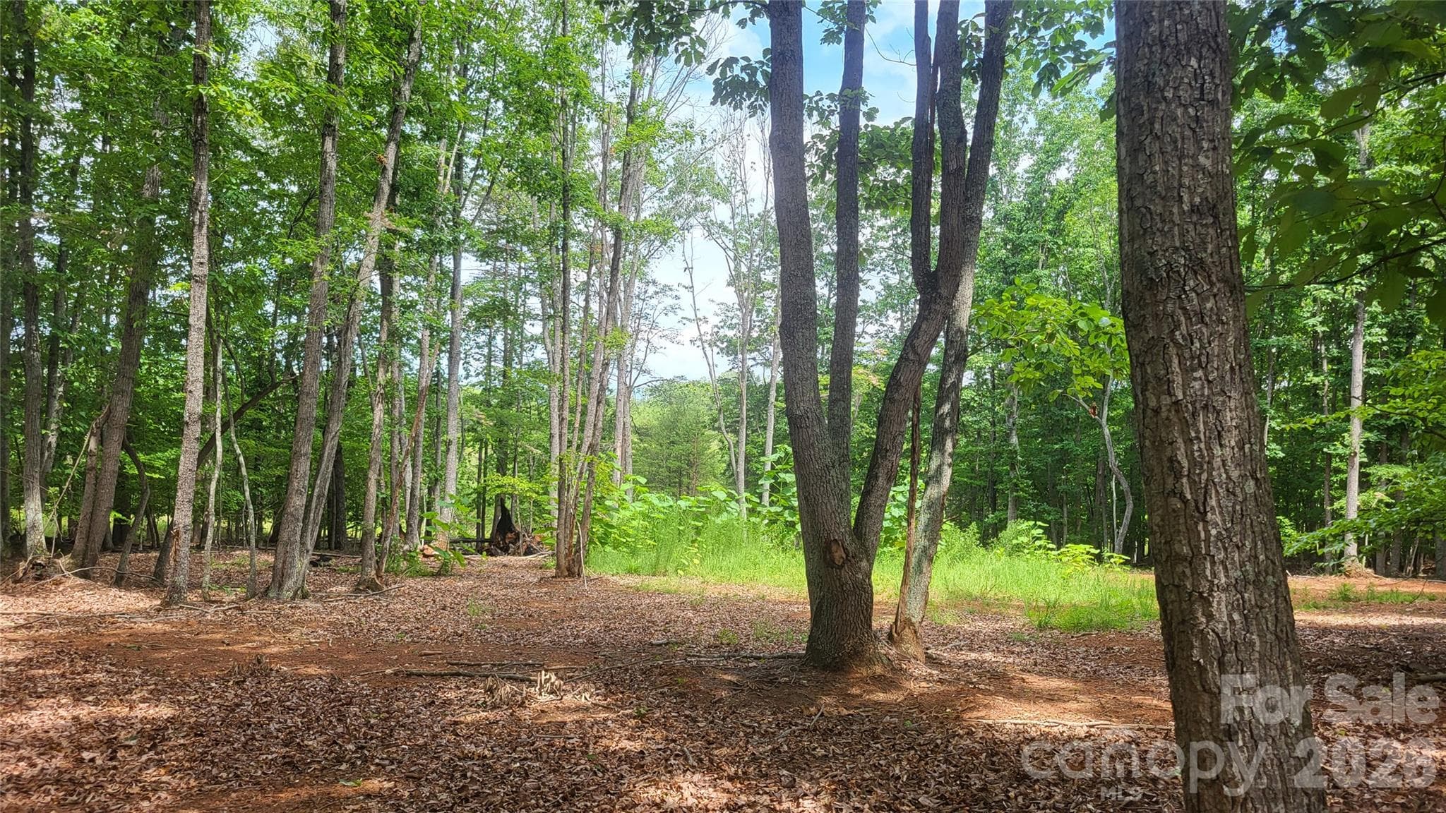 Acreage at 1056 Stephens Trail Road, Sandy Ridge, photo 27 of 36