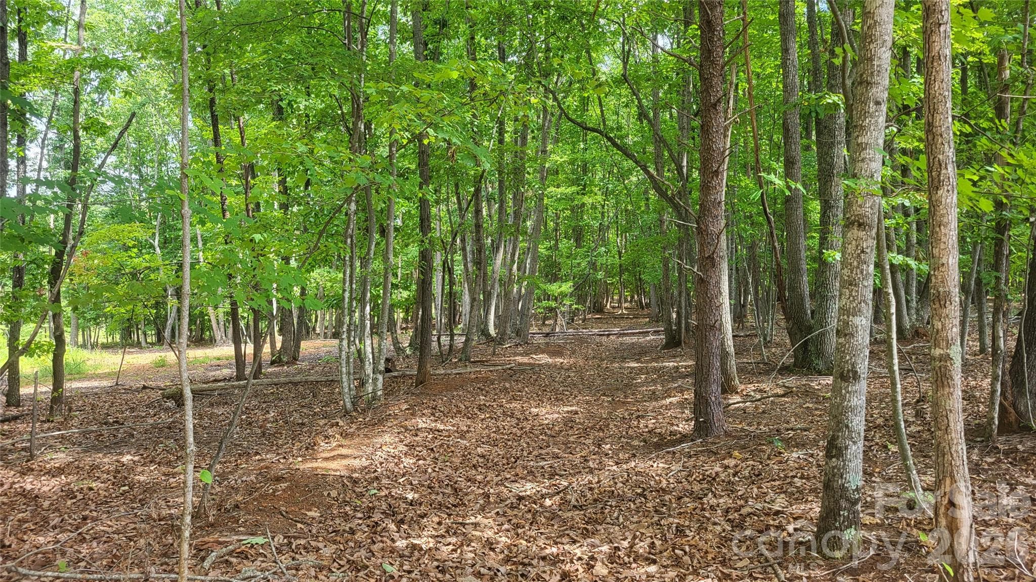 Acreage at 1056 Stephens Trail Road, Sandy Ridge, photo 28 of 36