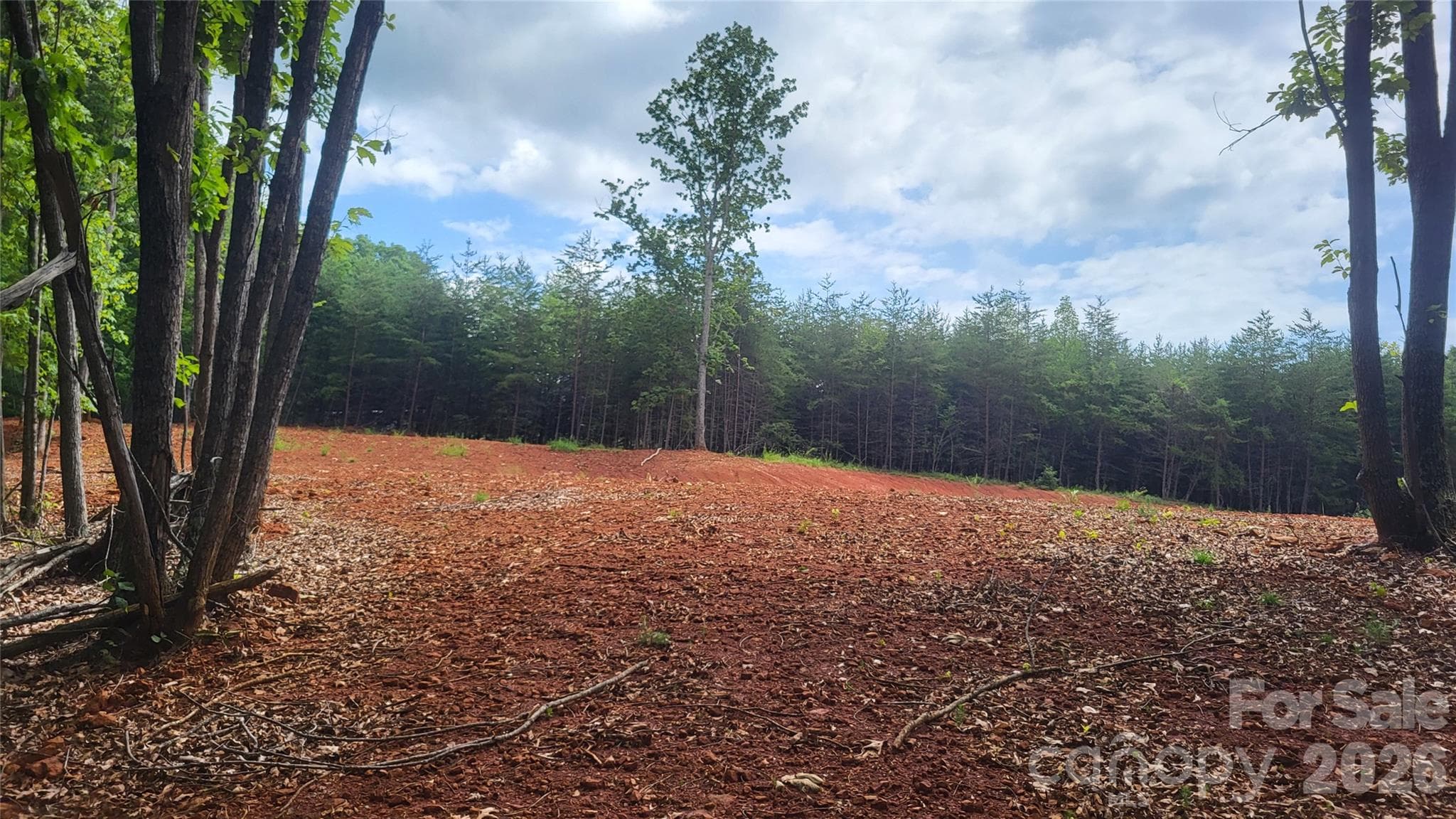 Acreage at 1056 Stephens Trail Road, Sandy Ridge, photo 29 of 36