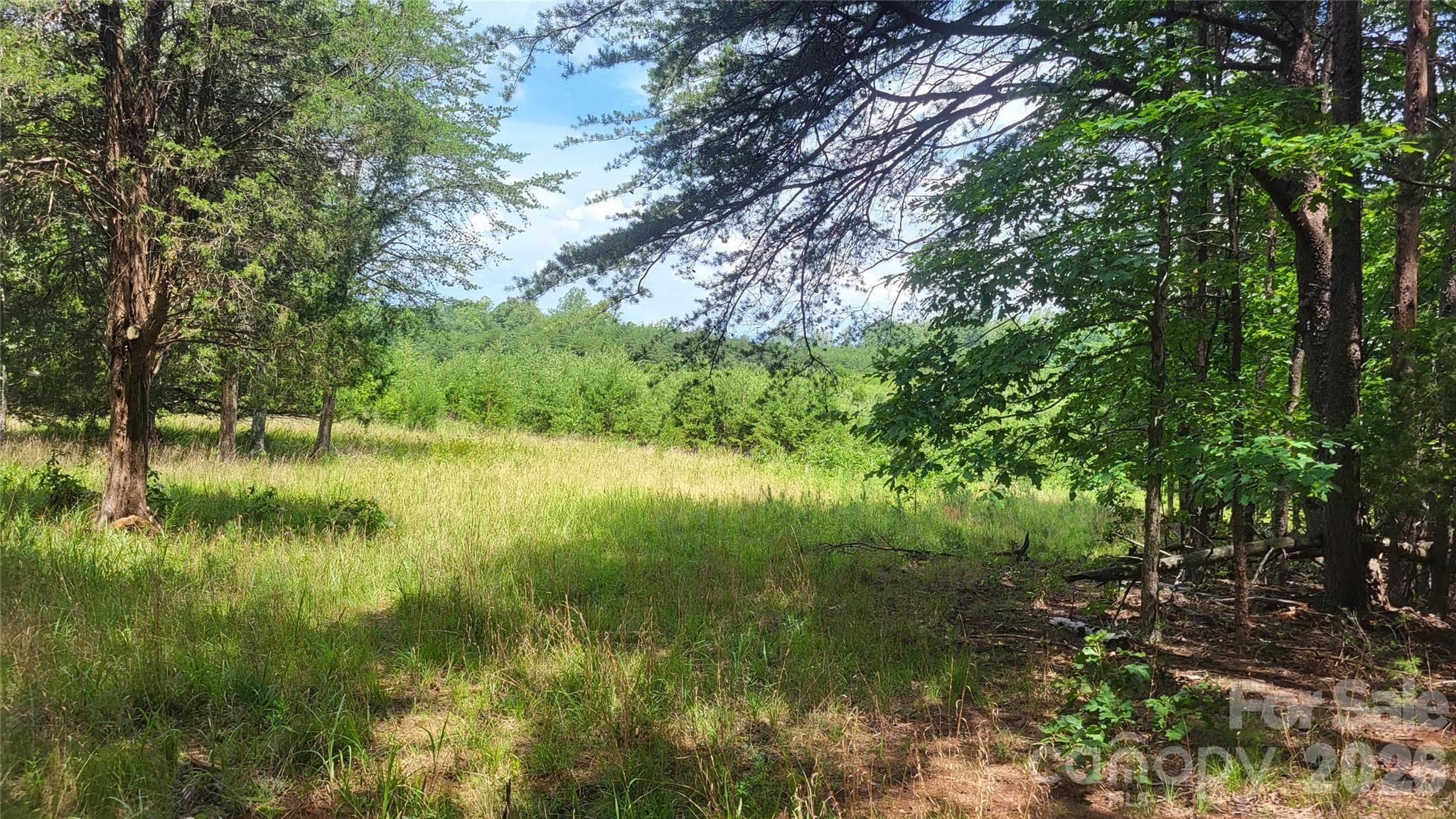 Acreage at 1056 Stephens Trail Road, Sandy Ridge, photo 30 of 36