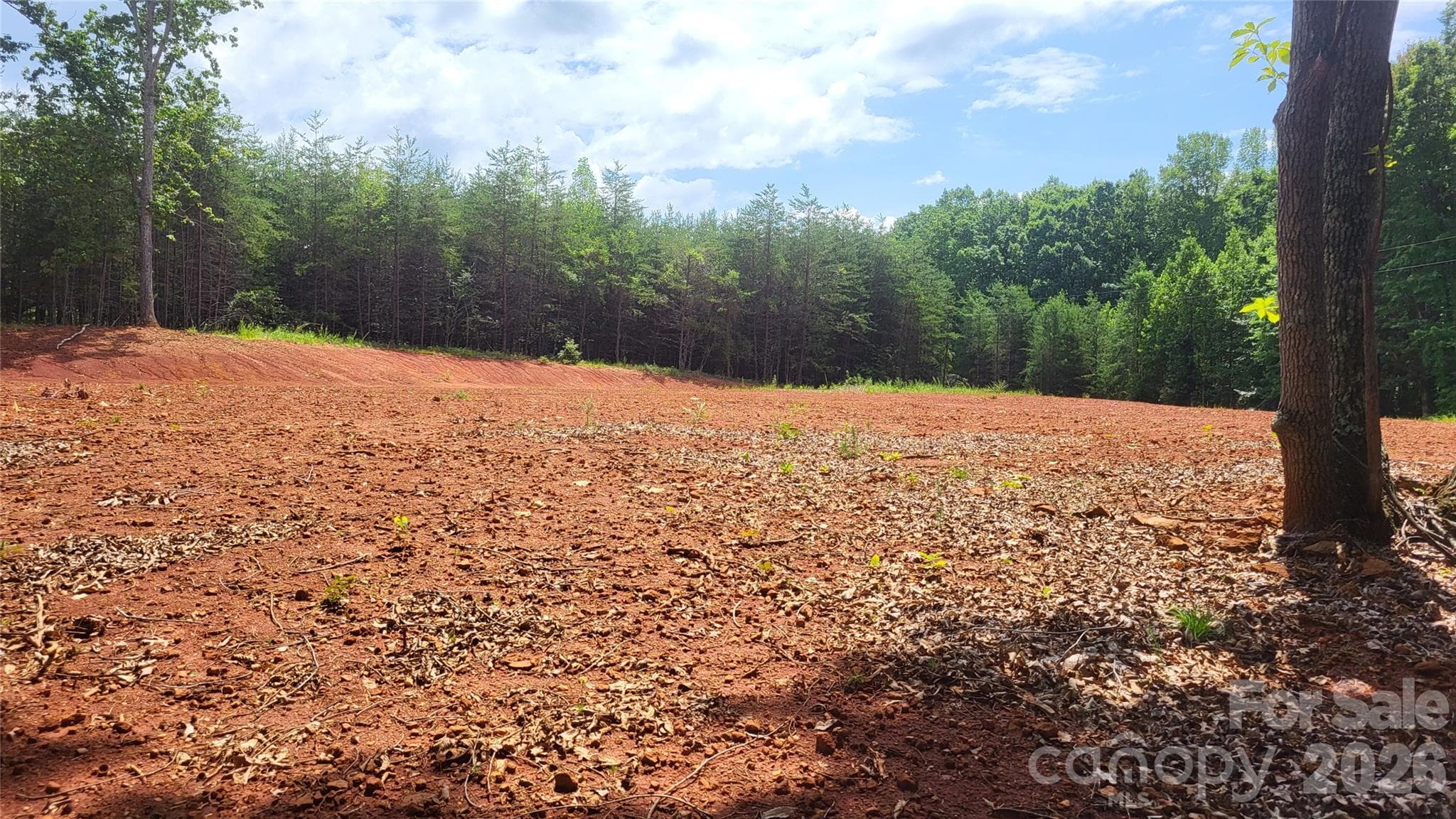 Acreage at 1056 Stephens Trail Road, Sandy Ridge, photo 31 of 36