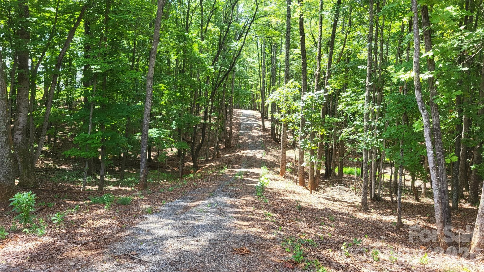 Acreage at 1056 Stephens Trail Road, Sandy Ridge, photo 35 of 36