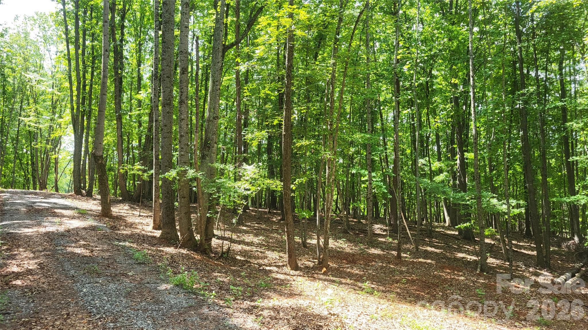 Acreage at 1056 Stephens Trail Road, Sandy Ridge, photo 36 of 36
