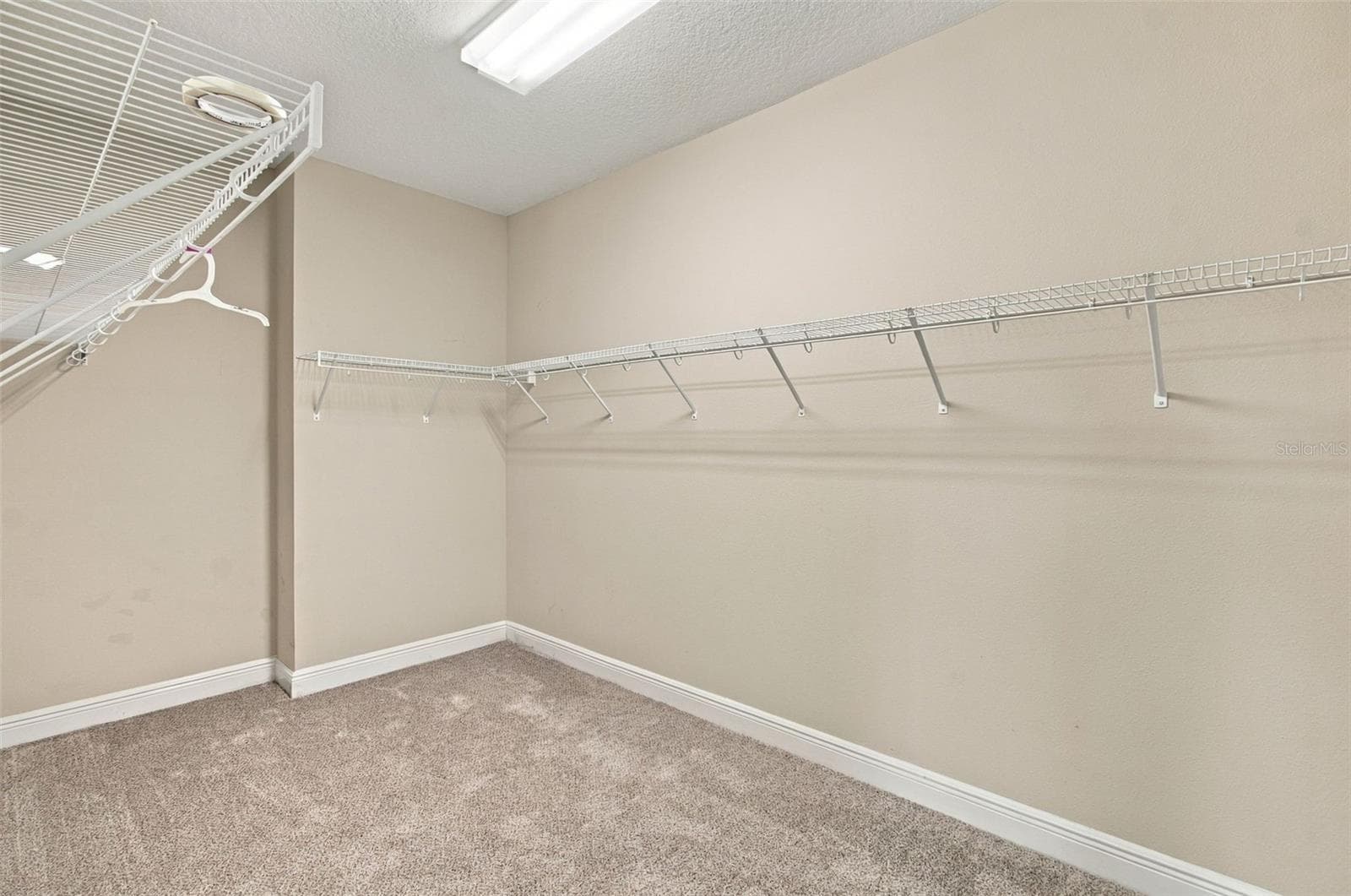 Walk In Closest - 5830 WATERCOLOR DR, LITHIA