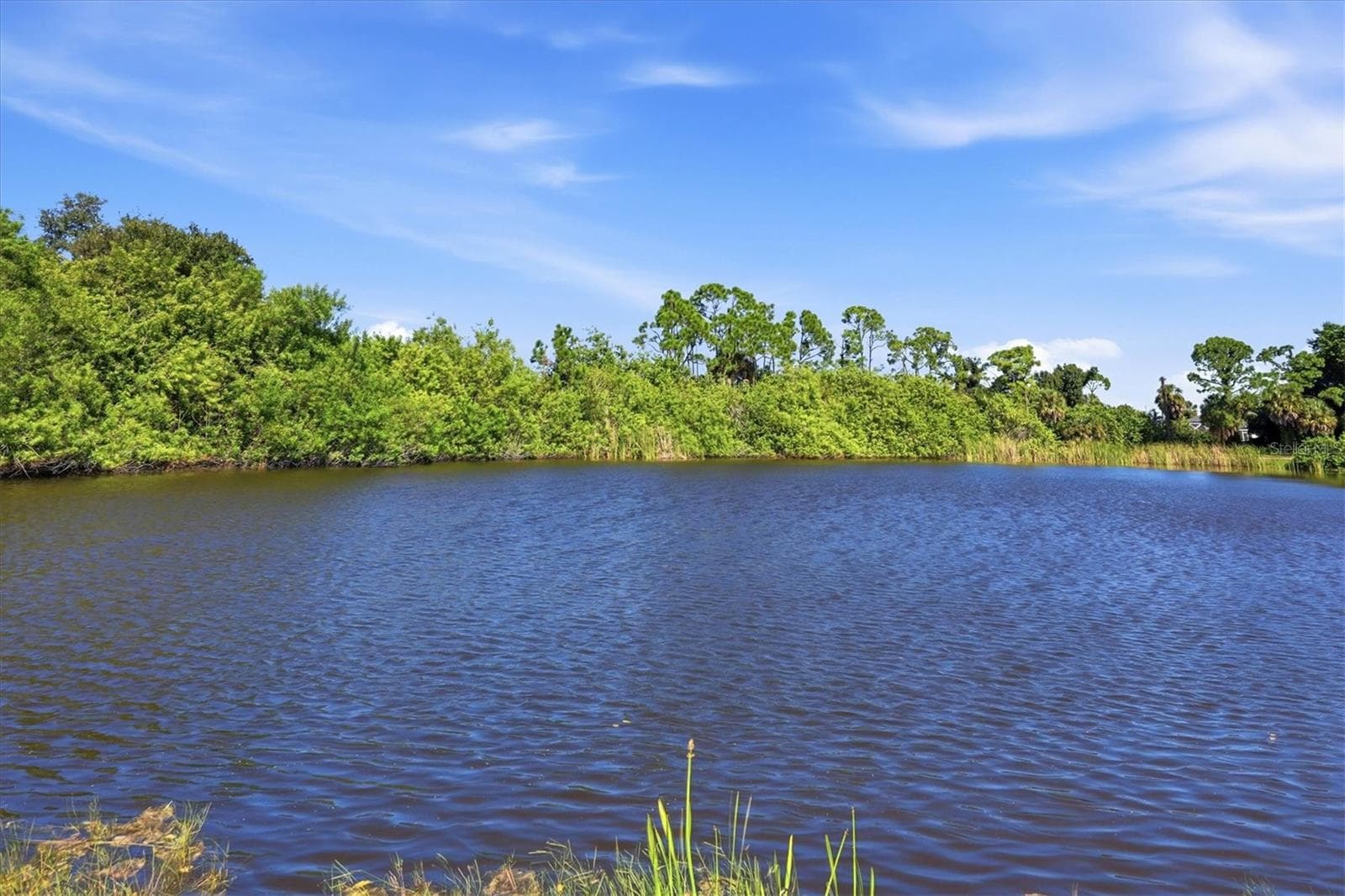 The Lake - 1078 ROTONDA CIR, ROTONDA WEST