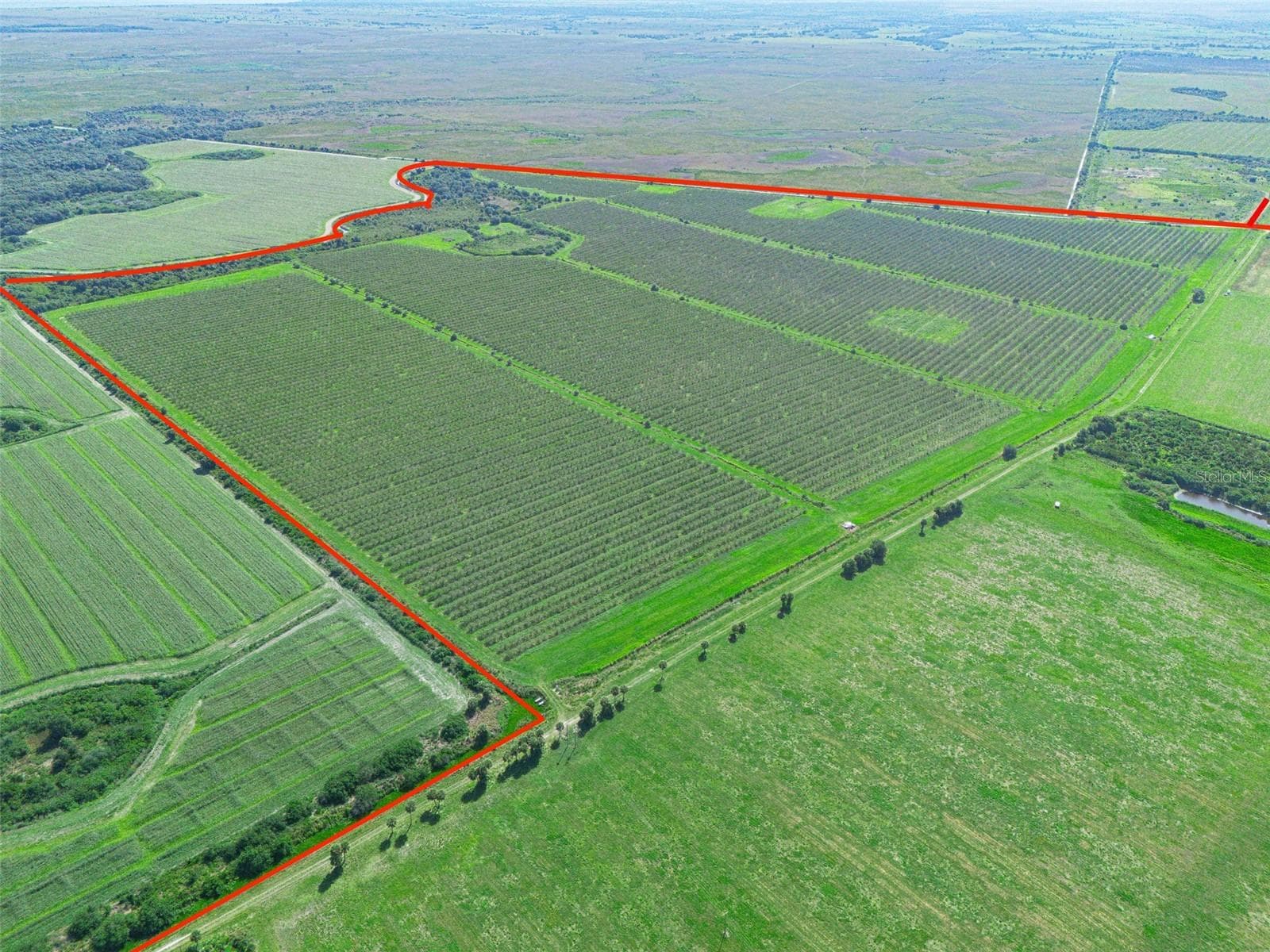 Land at STATE RD 60, OKEECHOBEE, photo 2 of 18