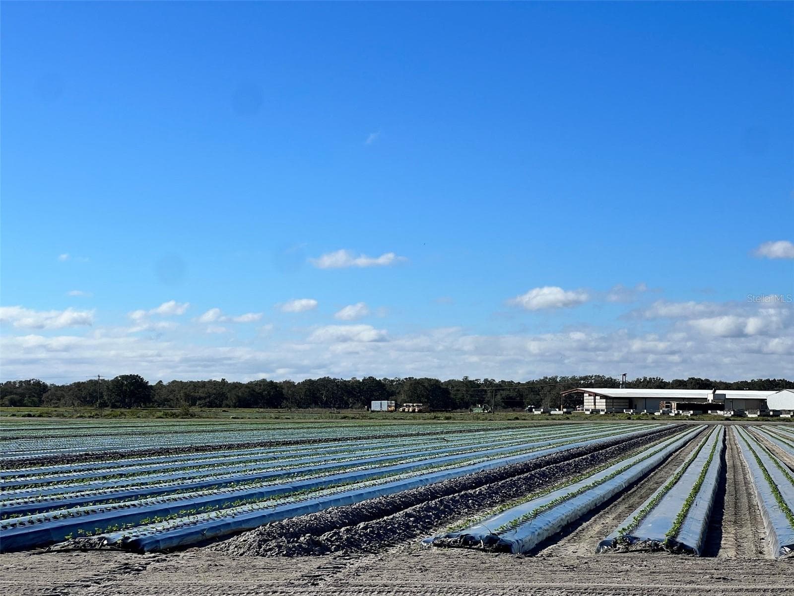 Land at STATE RD 60, OKEECHOBEE, photo 4 of 18