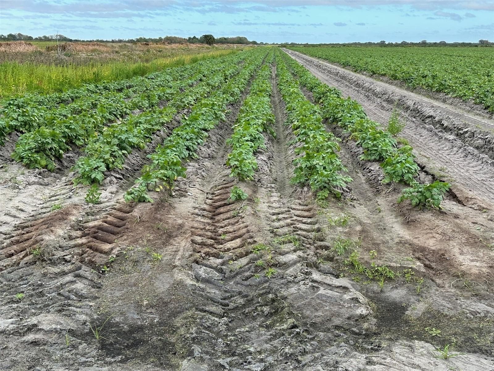 Land at STATE RD 60, OKEECHOBEE, photo 12 of 18
