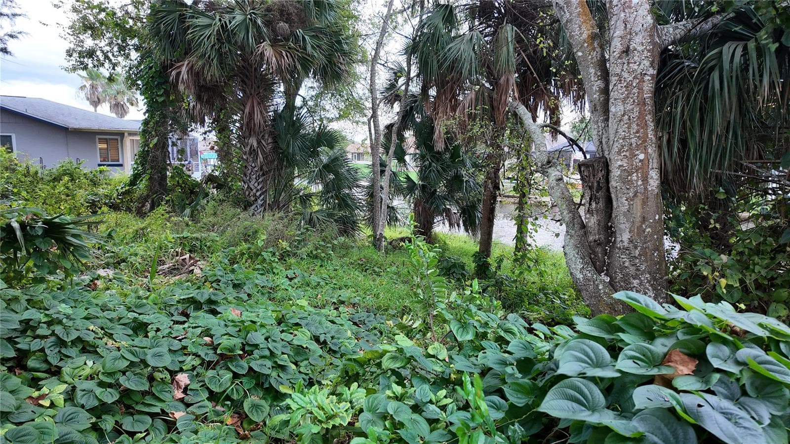 Land at 35 CORAL REEF CT N, PALM COAST, photo 3 of 7