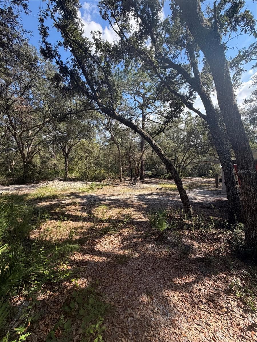 Land at TBD NE 192ND PL, FORT MC COY, photo 6 of 11
