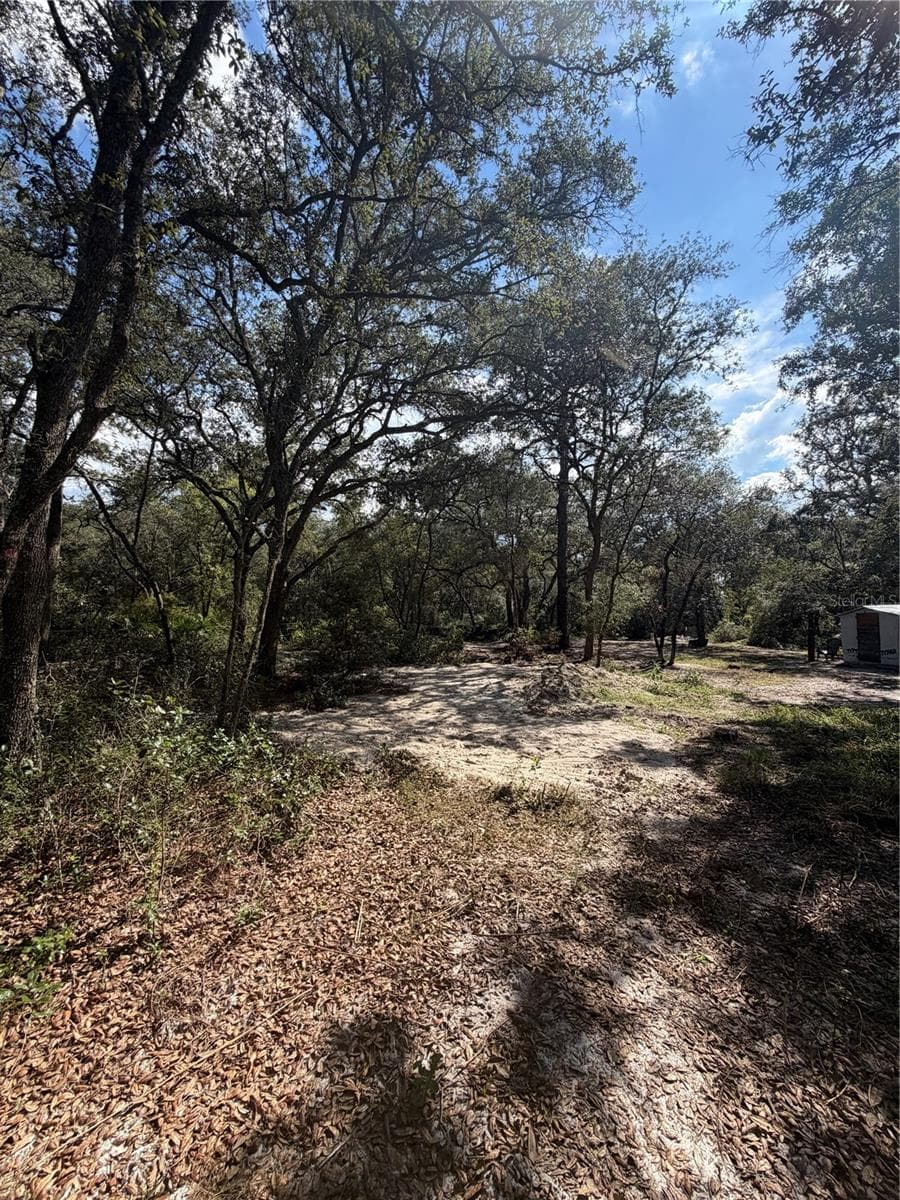 Land at TBD NE 192ND PL, FORT MC COY, photo 7 of 11