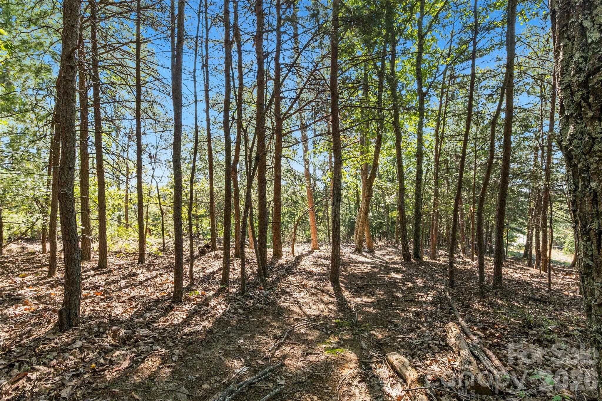 Extra Lot - 656 Arbra Mountain Way, Bostic
