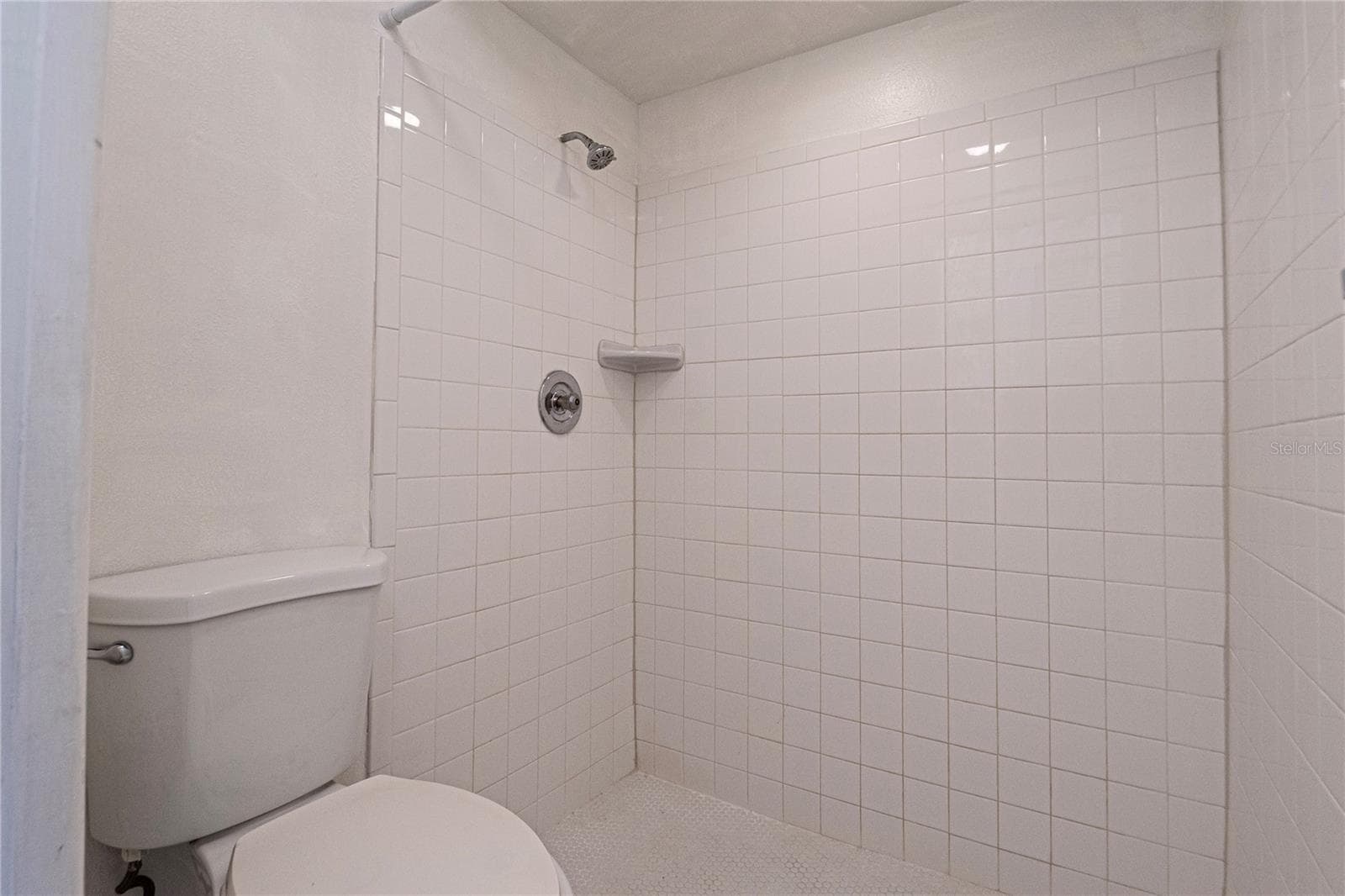 Condominium at 3114 37TH LN S #B, ST PETERSBURG, photo 39 of 85