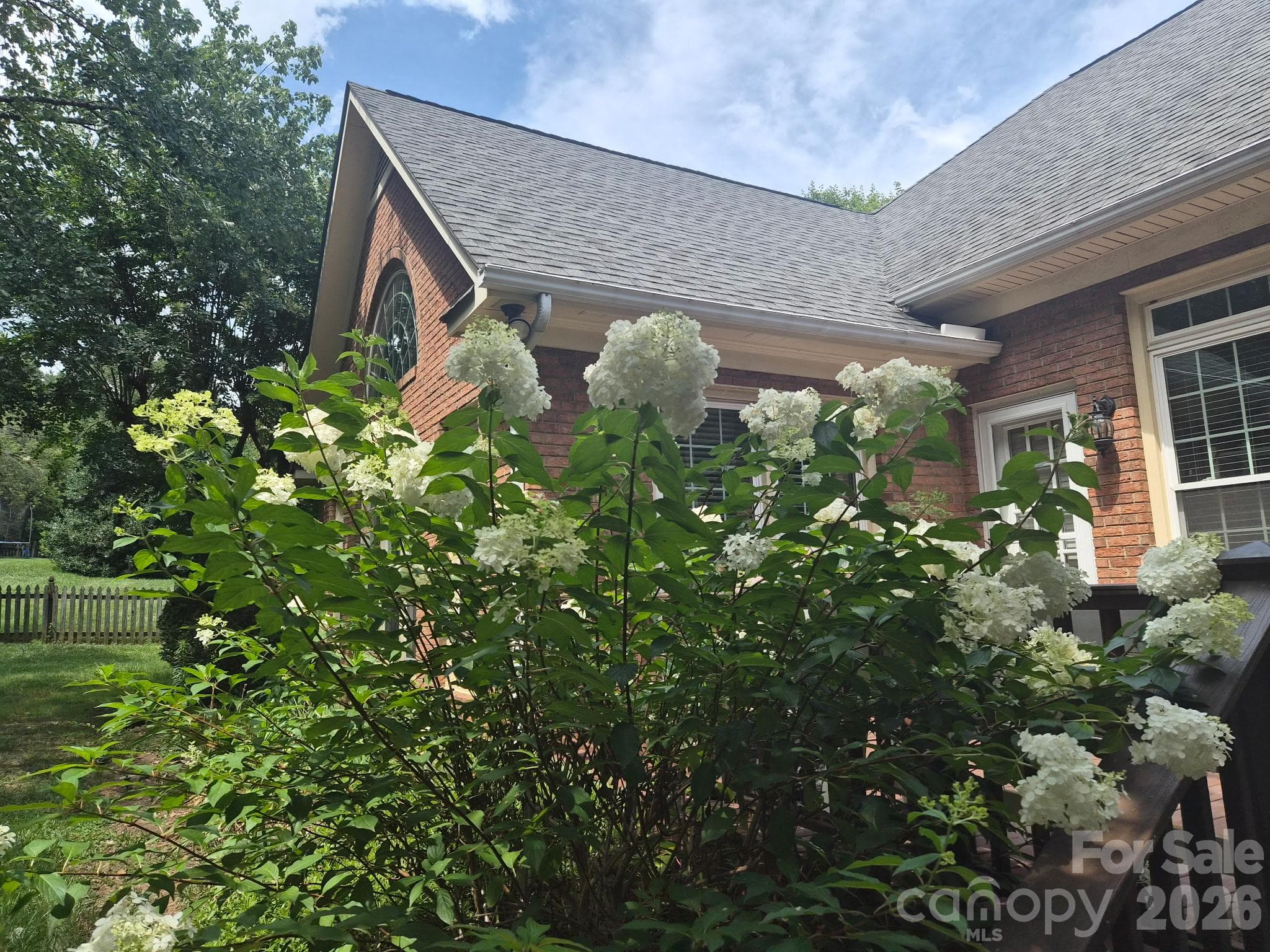 Summer blooms in the backyard - 890 Lyerly Ridge Road NW, Concord