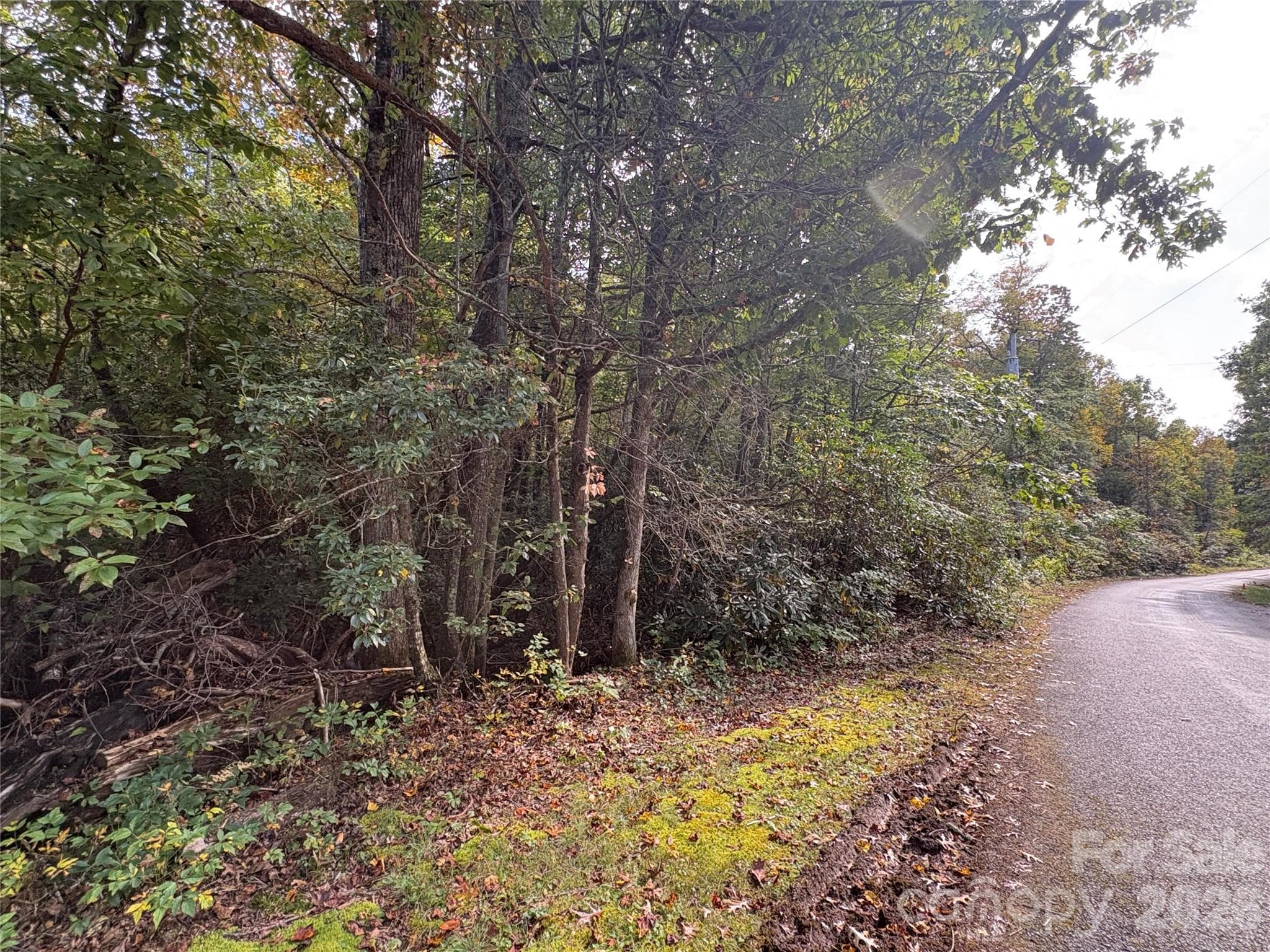 Lot at 81 Bird Creek Estates Road, Black Mountain, photo 6 of 8