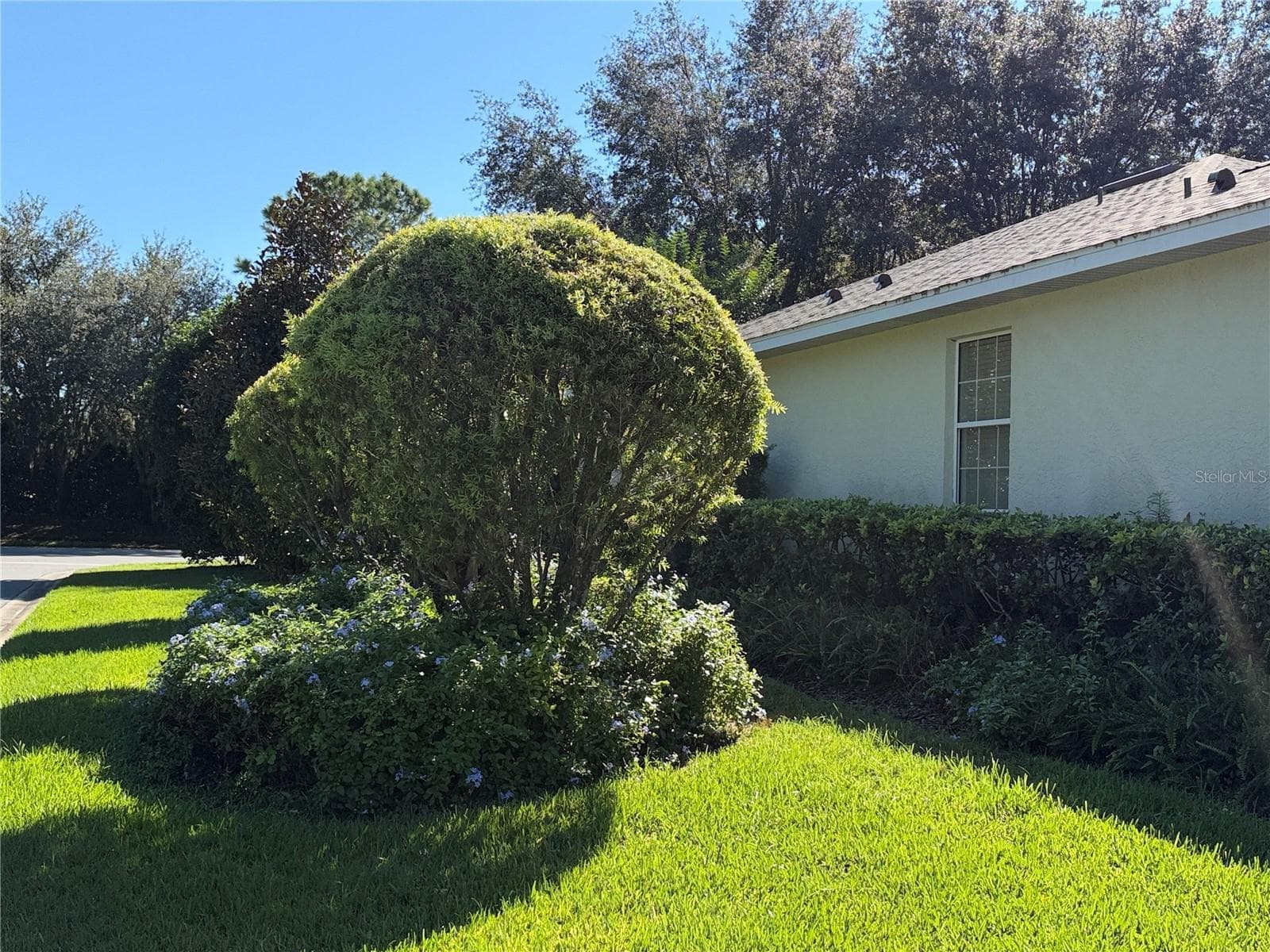 Single Family Residence at 8368 SW 79TH CIR, OCALA, photo 16 of 116