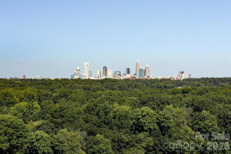 Charlotte’s skyline steals the show—where city lights, energy, and Southern charm rise high! - 5219 Macvittie Lane, Charlotte