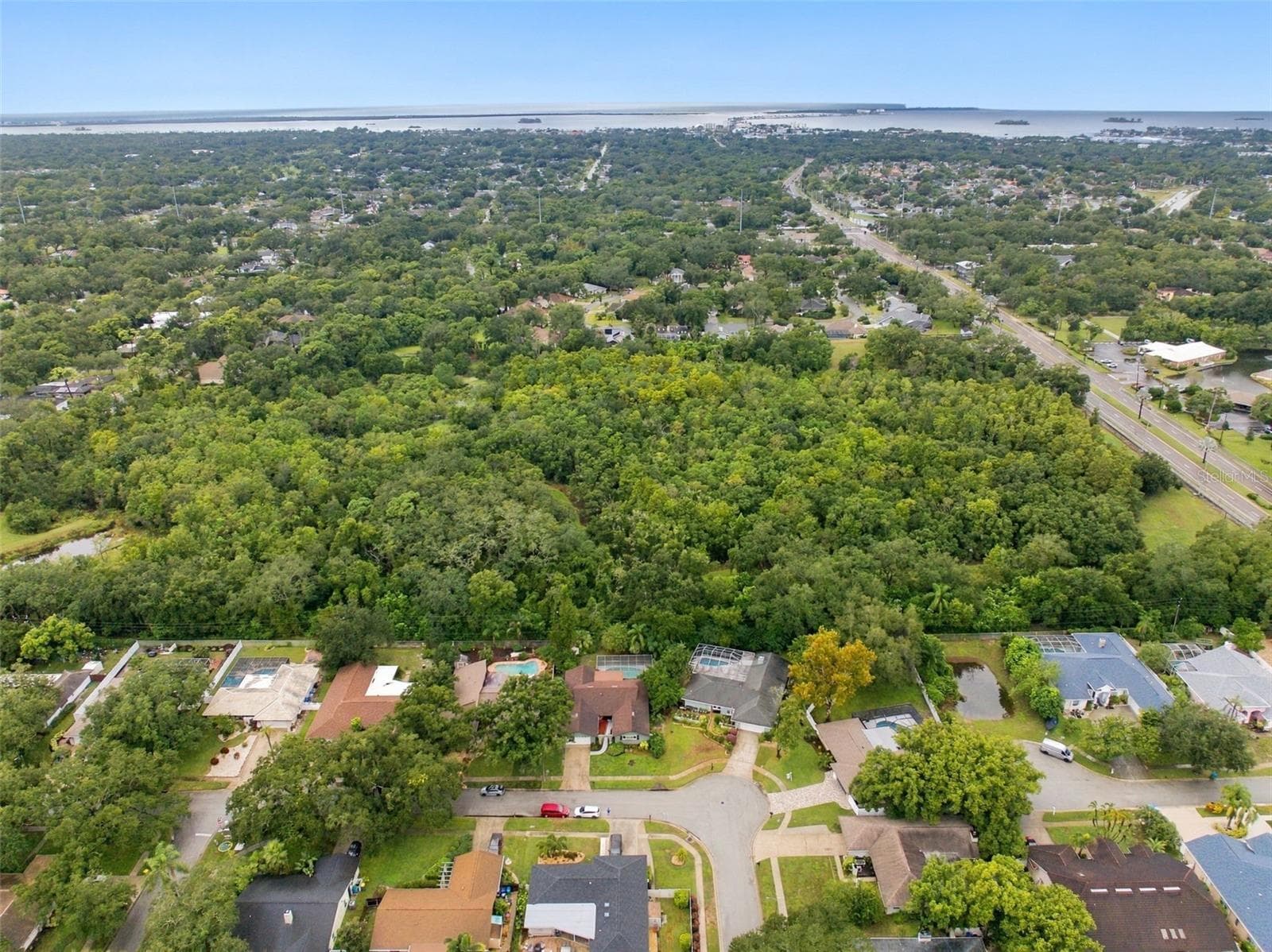 Nestled among the tree-lined streets of Spanish Pines, this residence backs onto Curlew Pond Nature Preserve. - 1297 PEACH TREE DR, DUNEDIN