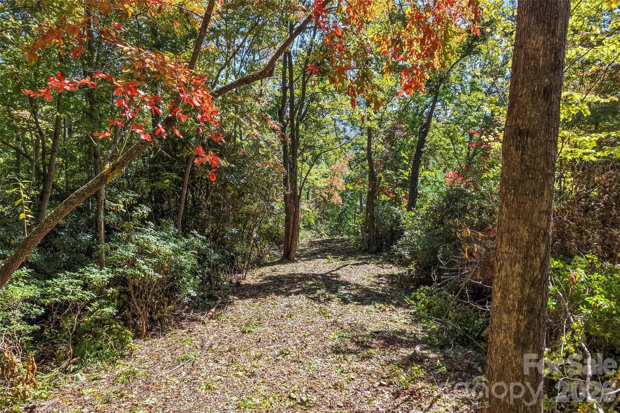 Acreage at 605 Lower Loop Drive, Fletcher, photo 4 of 14