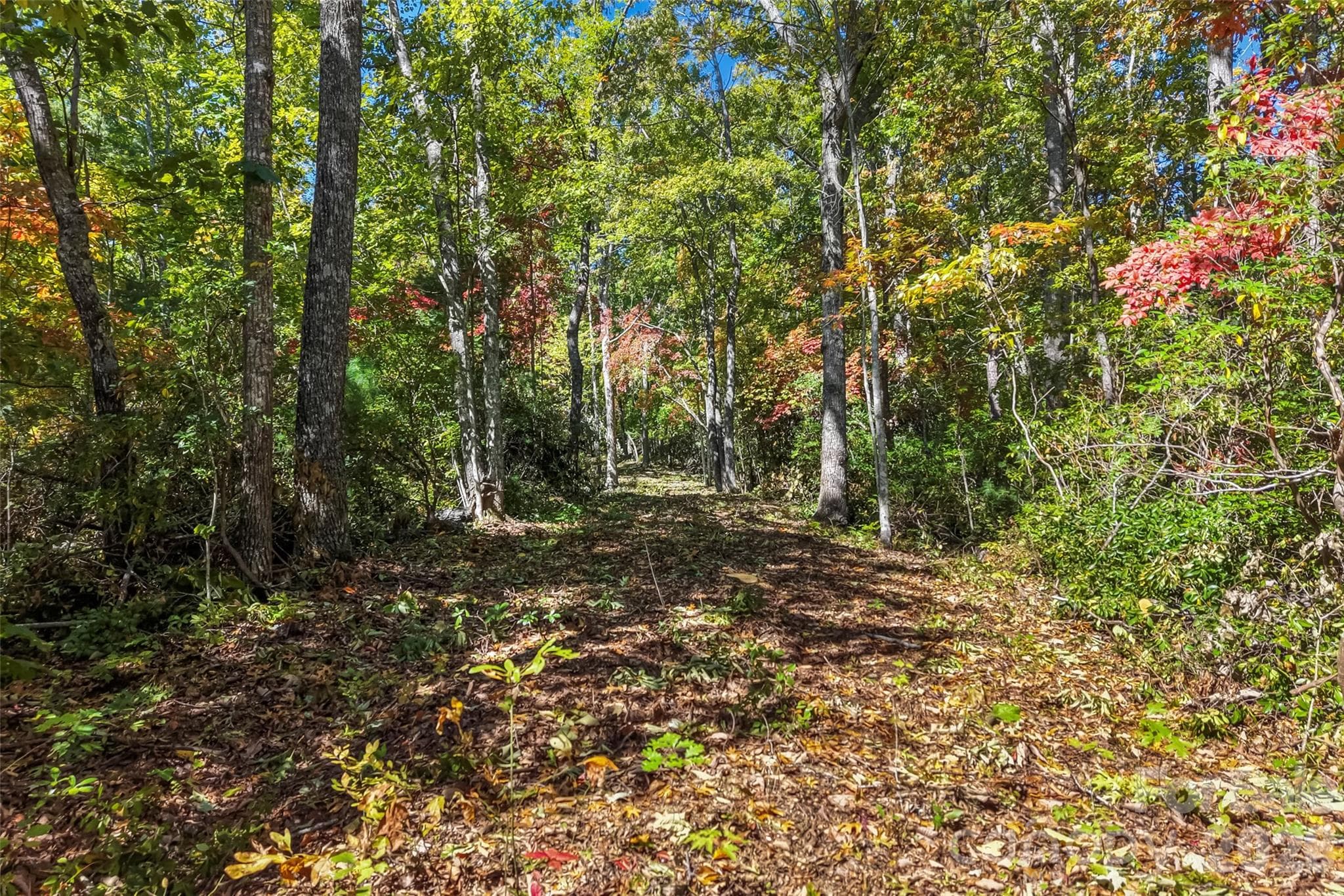 Acreage at 605 Lower Loop Drive, Fletcher, photo 6 of 14