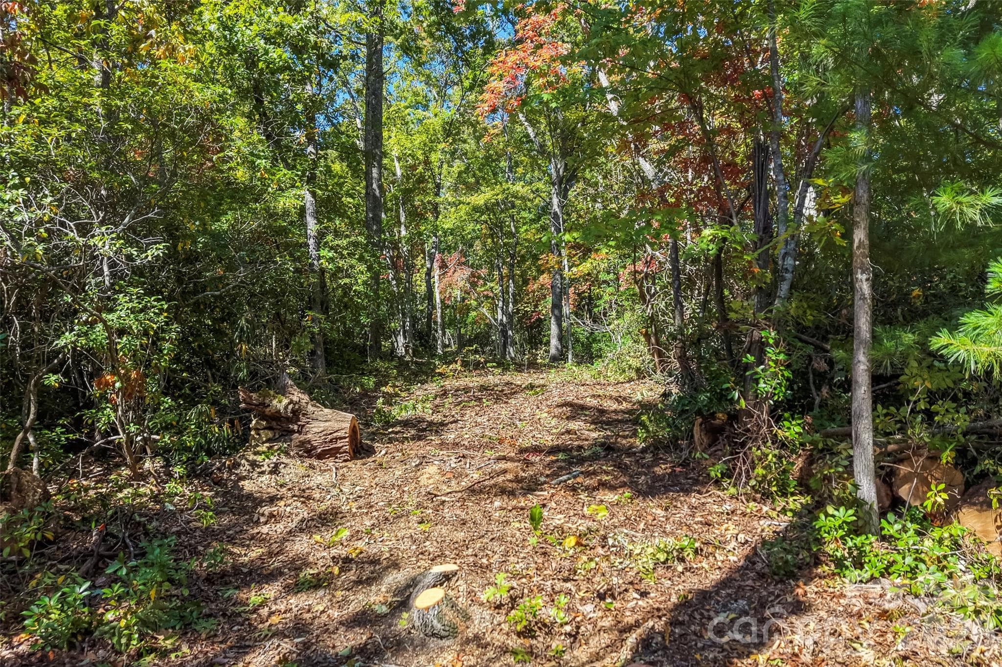 Acreage at 605 Lower Loop Drive, Fletcher, photo 7 of 14