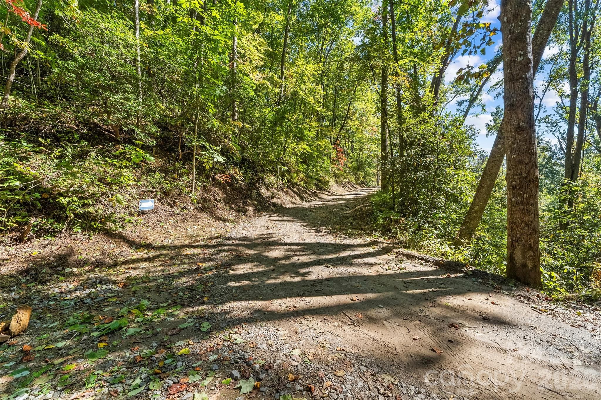 Acreage at 605 Lower Loop Drive, Fletcher, photo 9 of 14