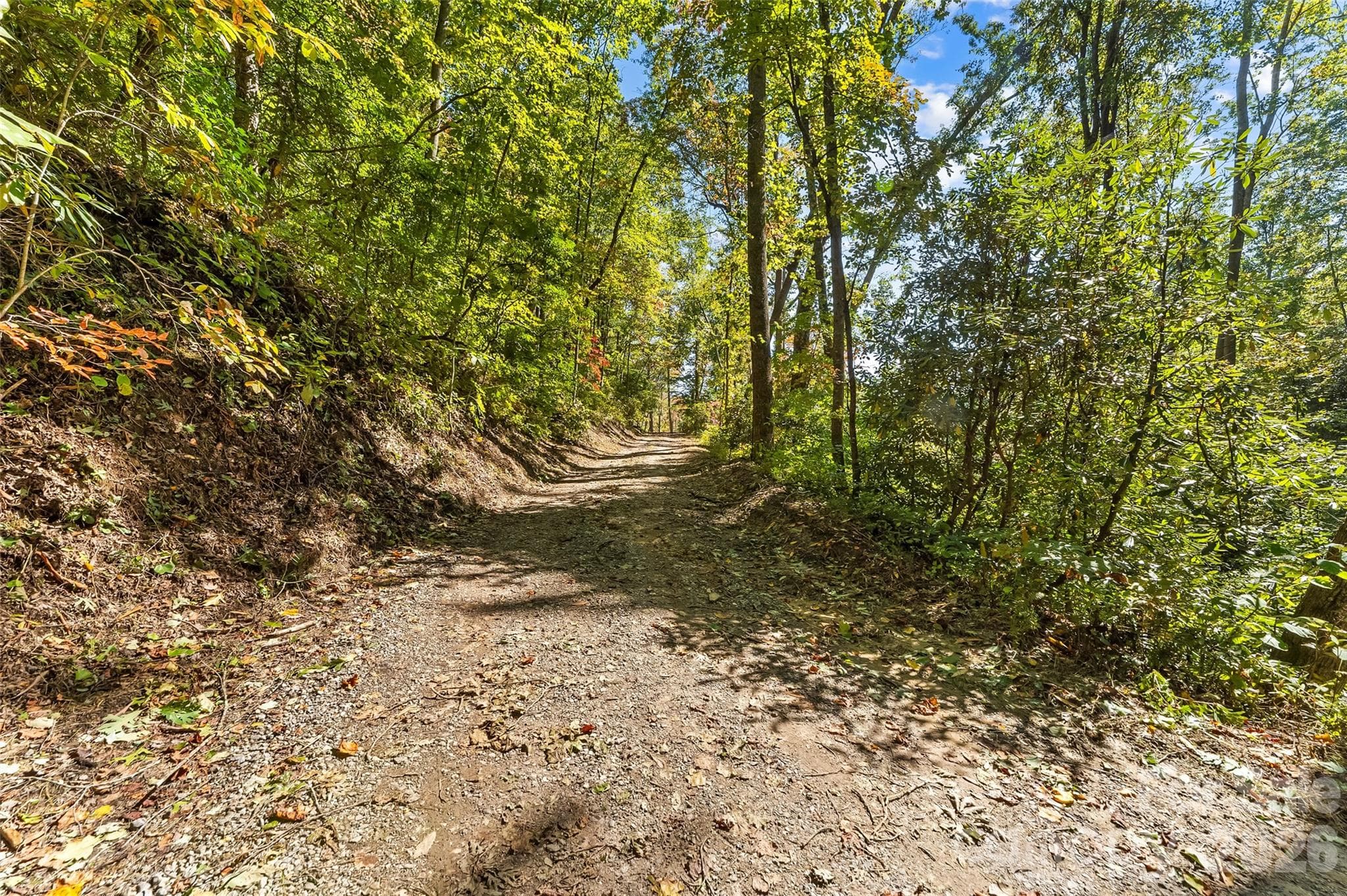 Acreage at 605 Lower Loop Drive, Fletcher, photo 10 of 14